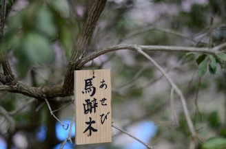 A wooden sign with Japanese characters is hanging from a tree branch, surrounded by blurred green leaves.