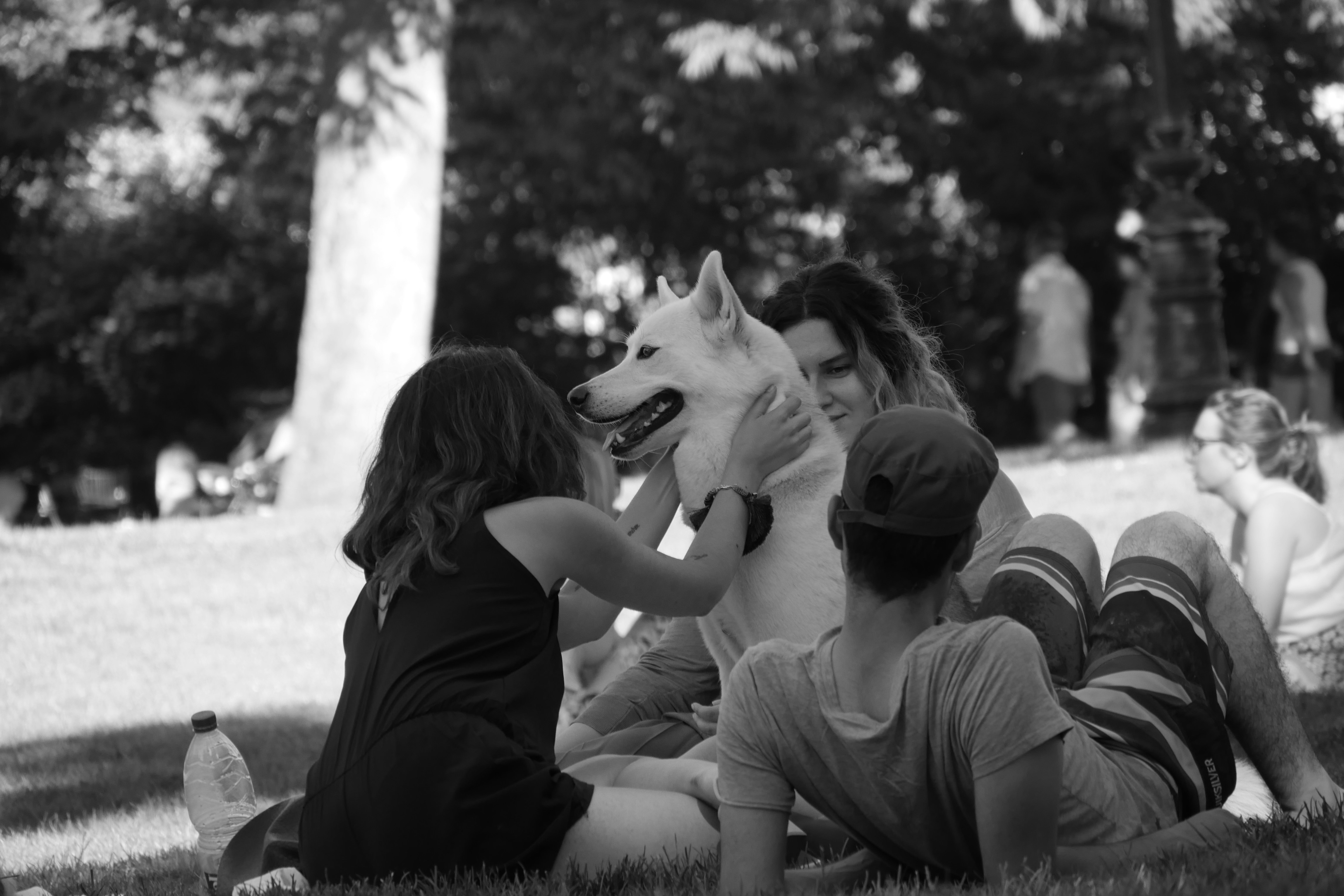 Free Unsplash photo from Wenceslas Lejeune