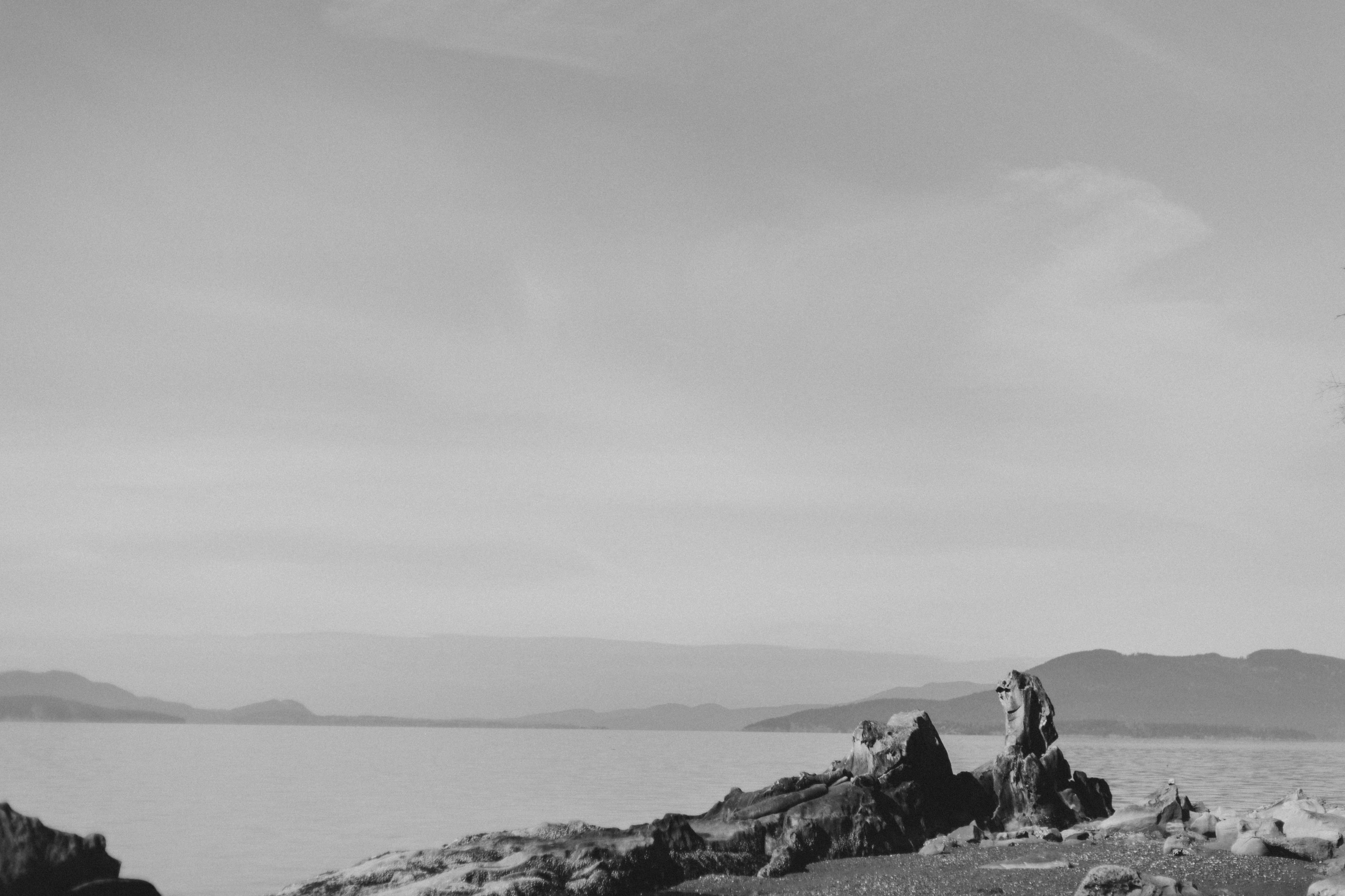 Free Unsplash photo from Elyssa Zornes