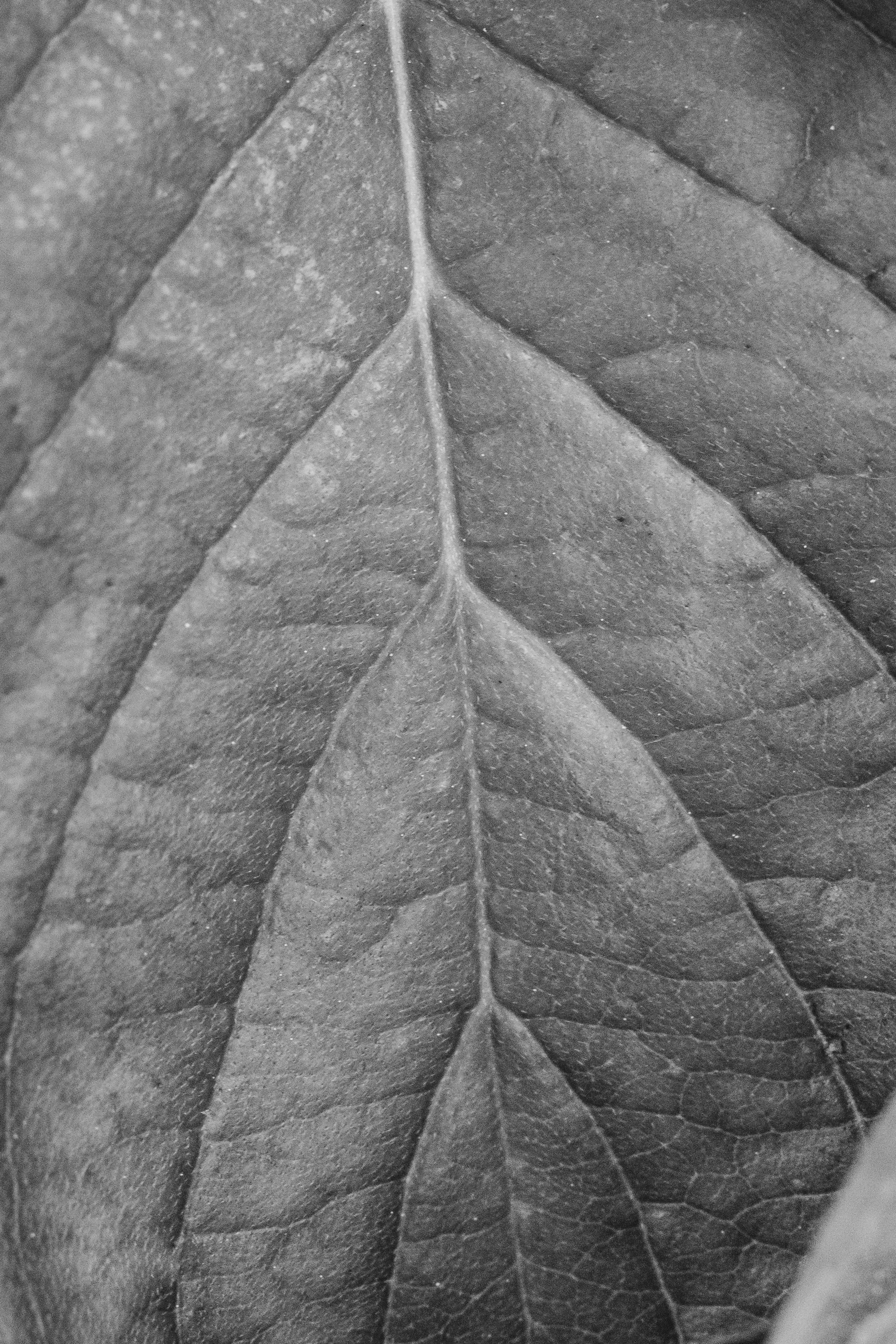 Free Unsplash photo from Michael  Mroczek