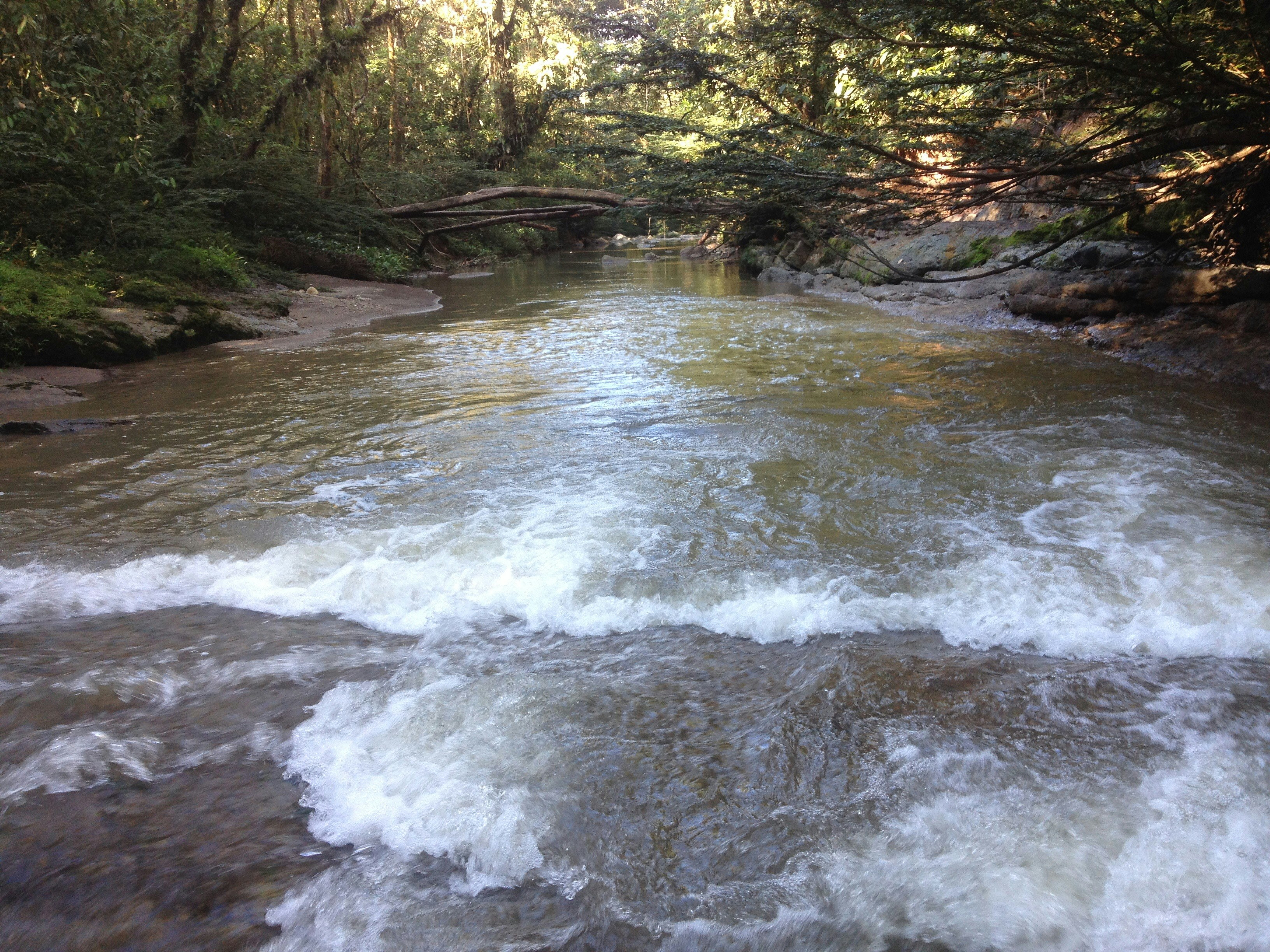 Free Unsplash photo from Jose Giraldo