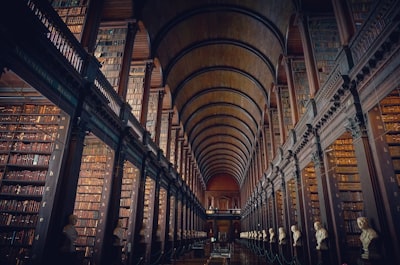 structural photography of library interior library teams background