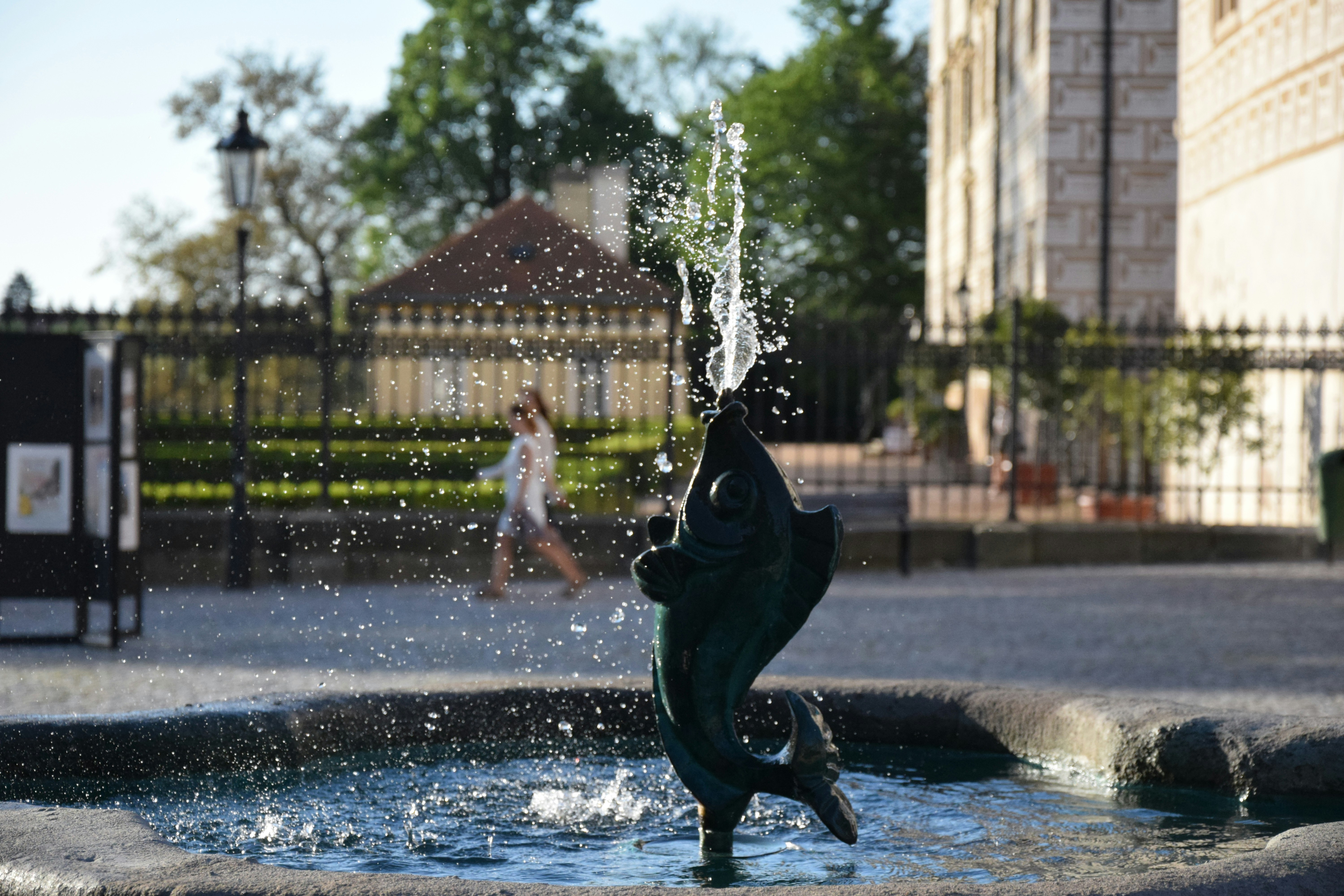 Free Unsplash photo from Vojtěch Morávek