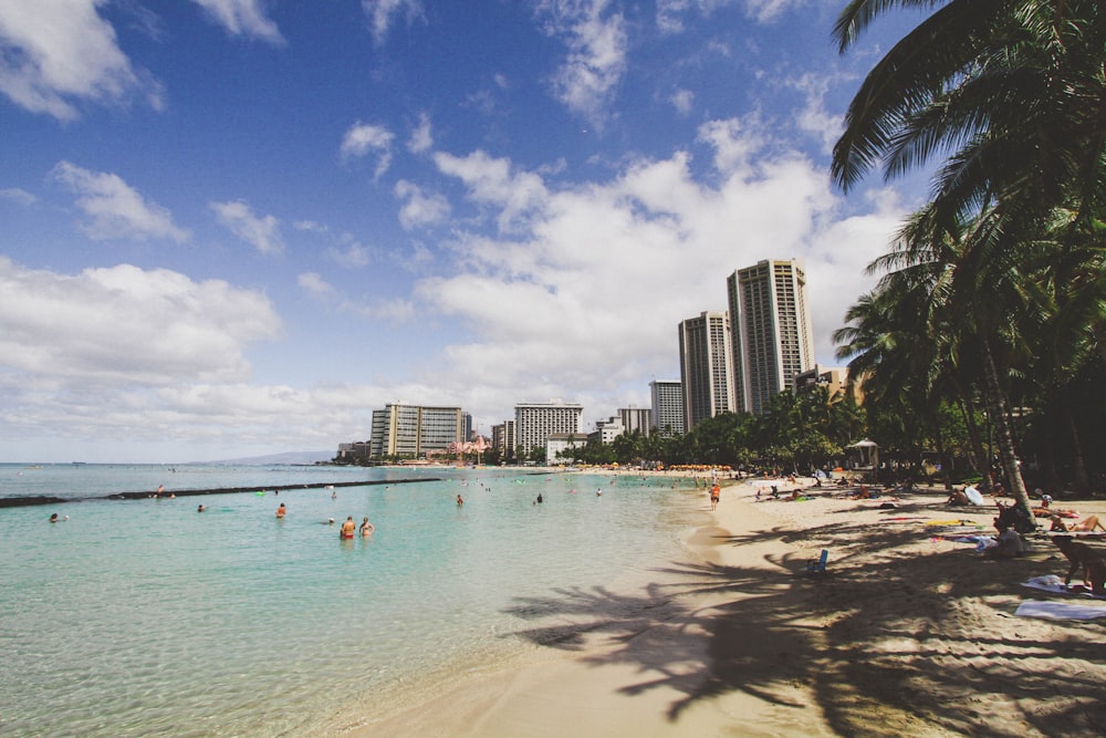 people on beach during daytime