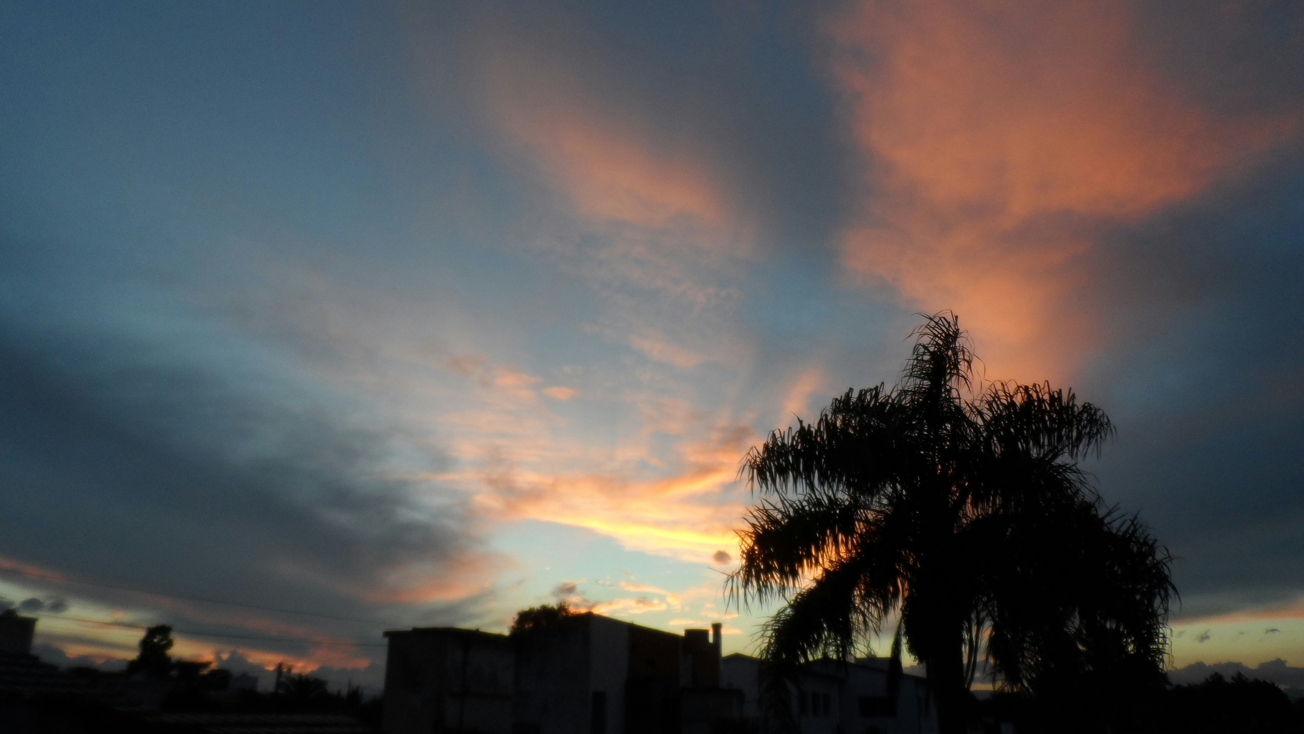 Free Unsplash photo from Alejandro Lazcano