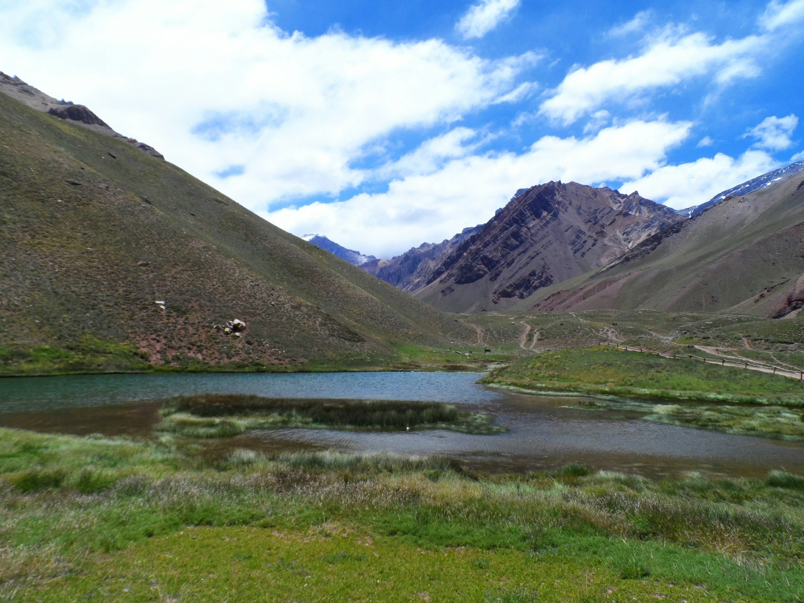 Free Unsplash photo from Alejandro Lazcano