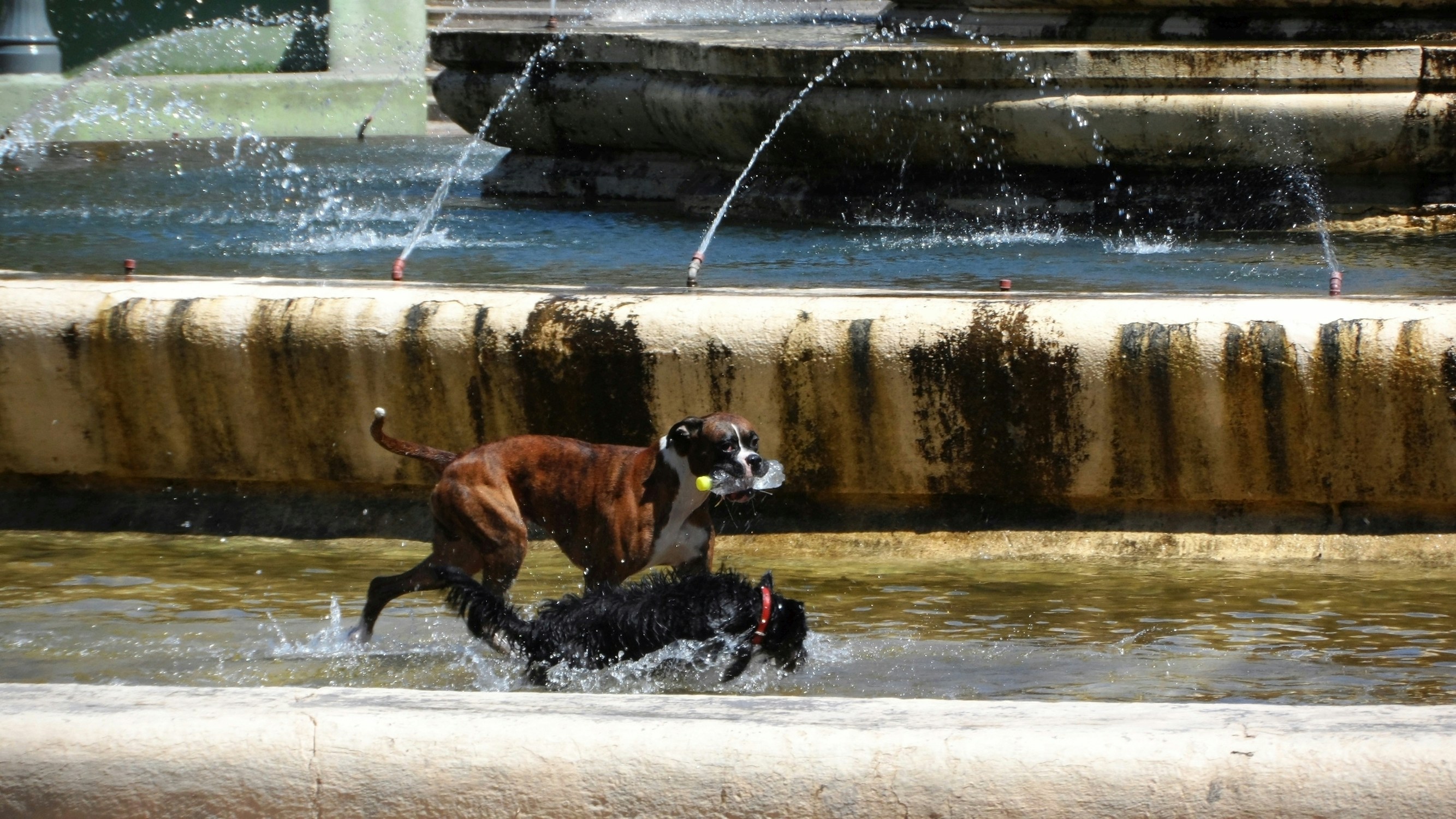 Free Unsplash photo from Alejandro Lazcano