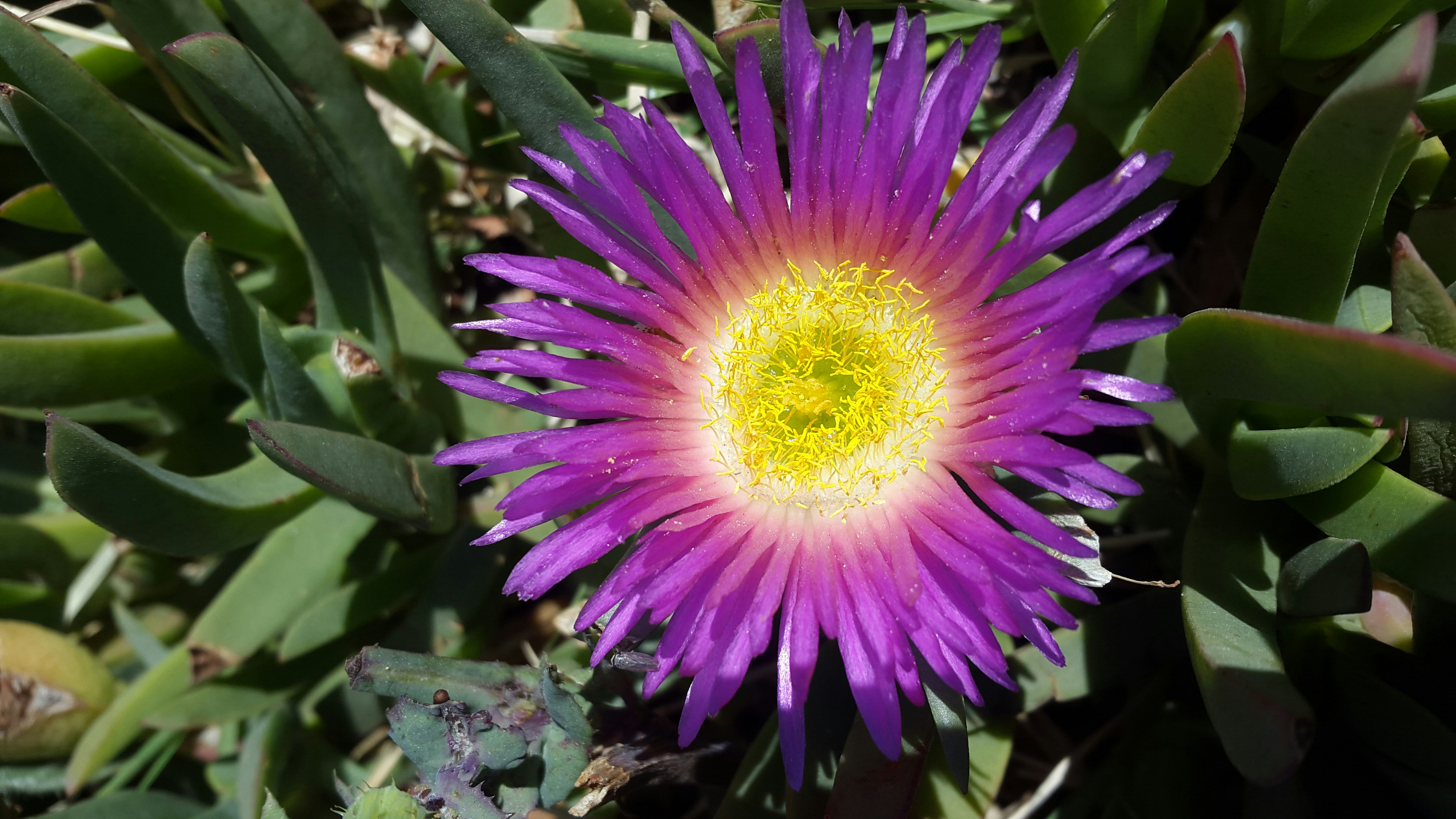 Free Unsplash photo from Paola Garcia Padilla