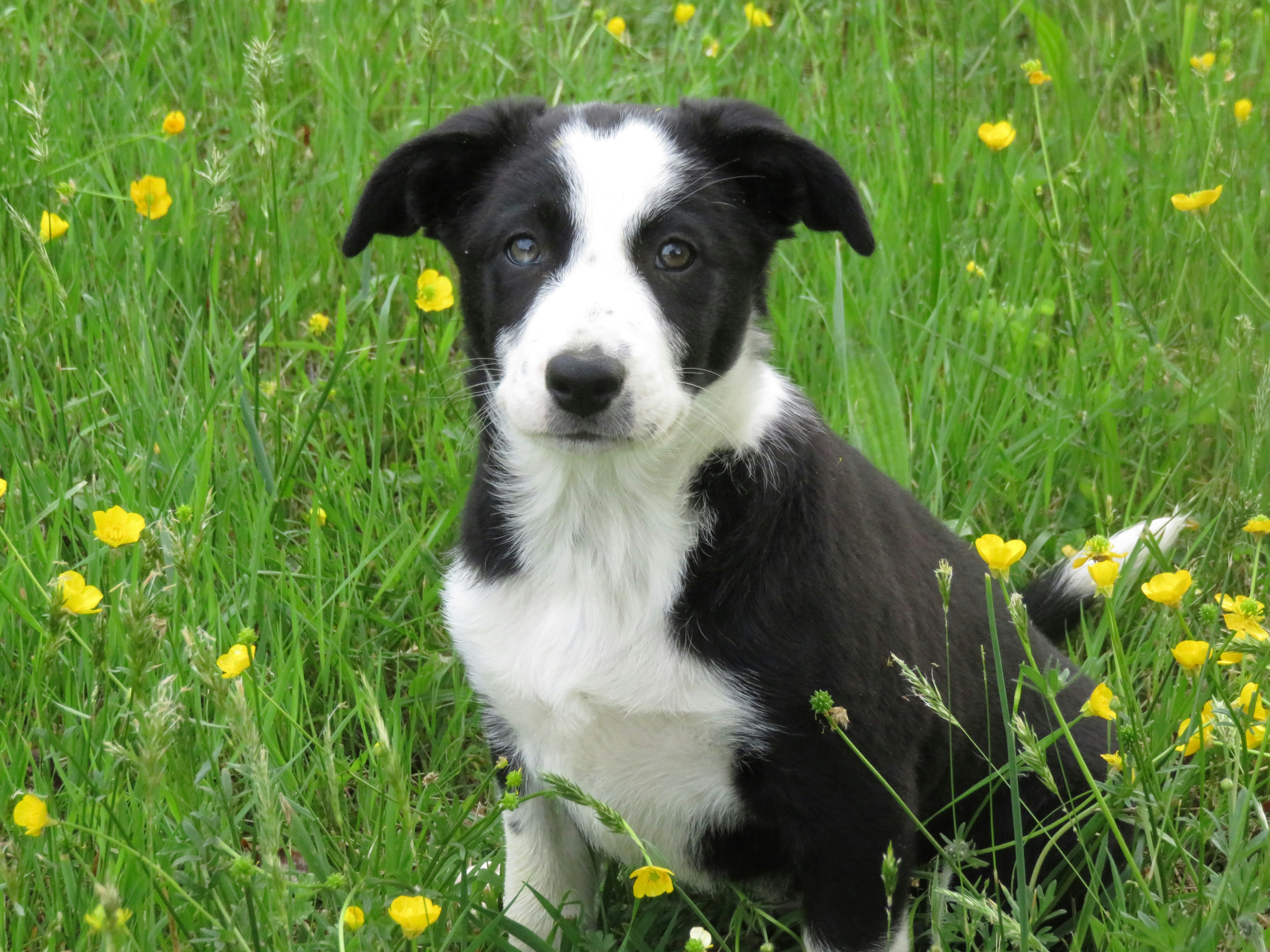 Free Unsplash photo from AVERILL RING