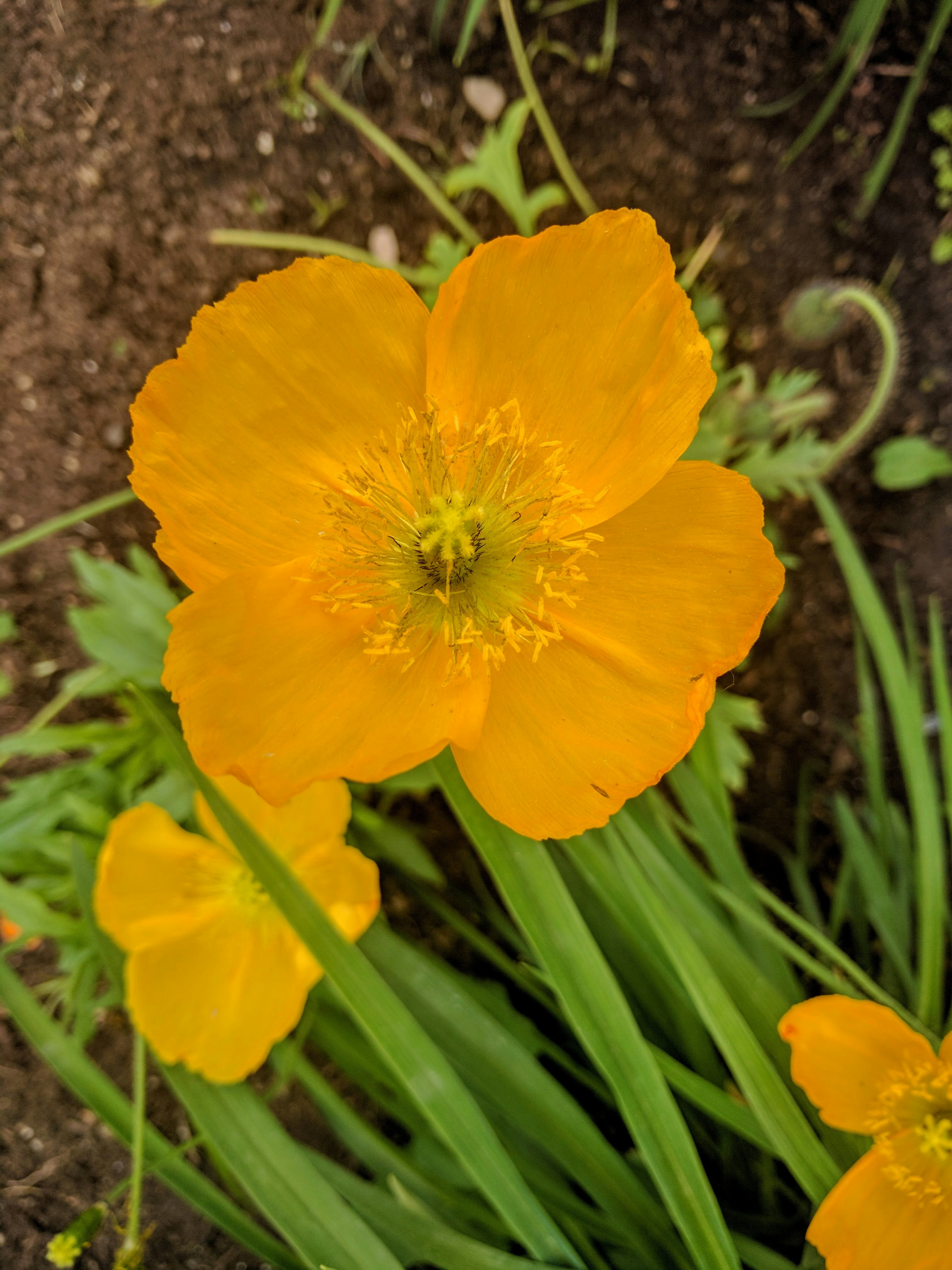 Free Unsplash photo from Peter Stevenson