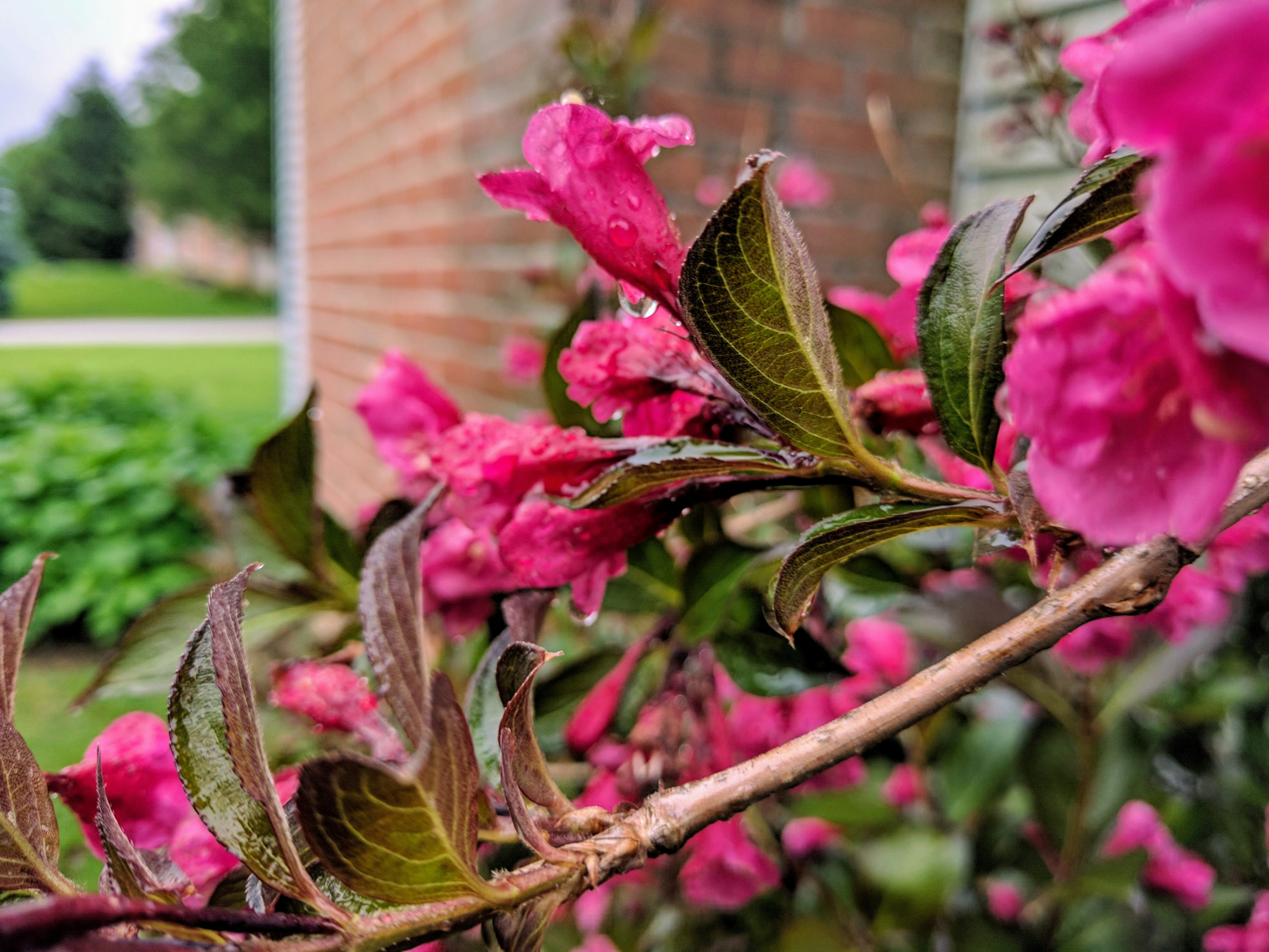 Free Unsplash photo from Peter Stevenson