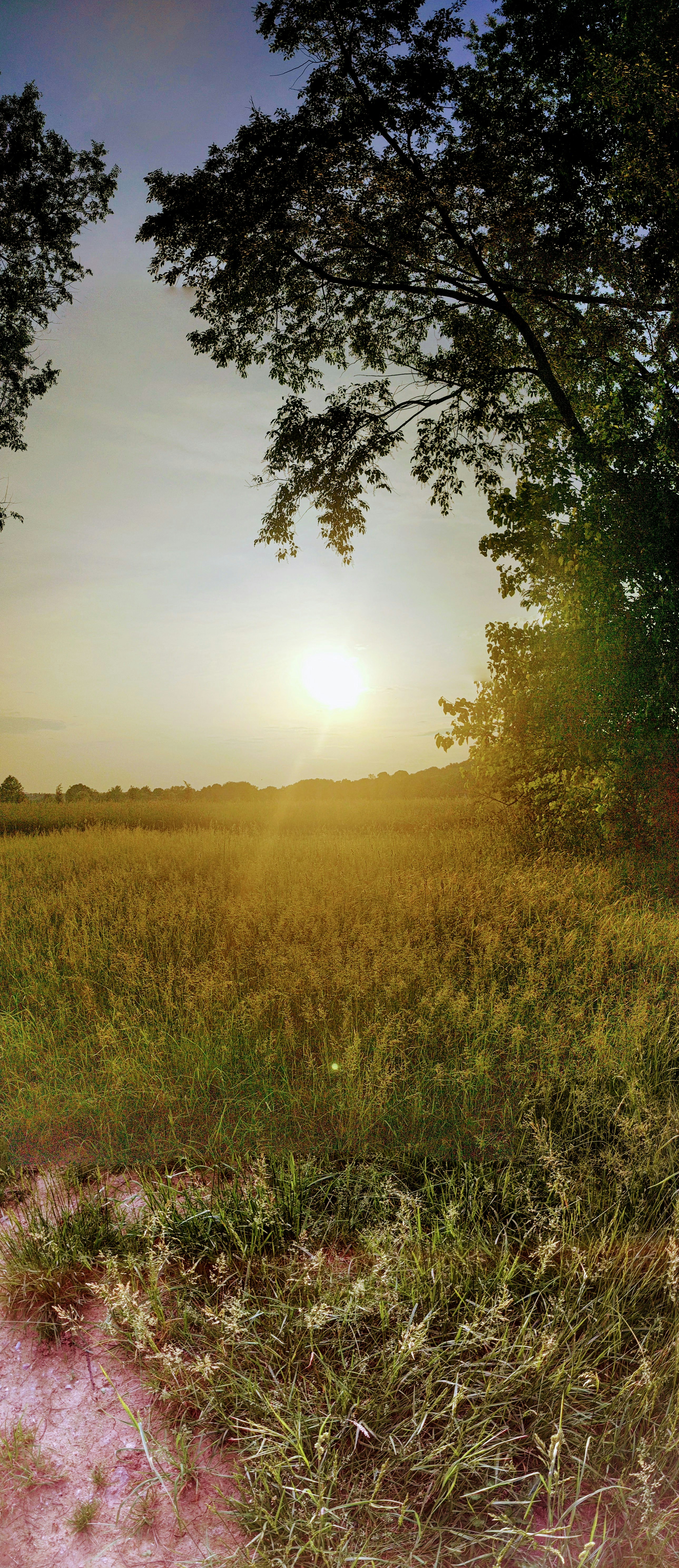 Free Unsplash photo from Peter Stevenson