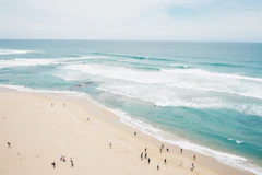 aerial photography of people on beach