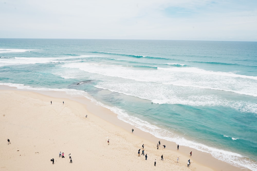 Fotografía aérea de personas en la playa
