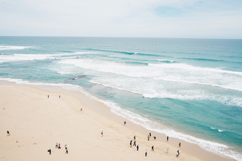 aerial photography of people on beach