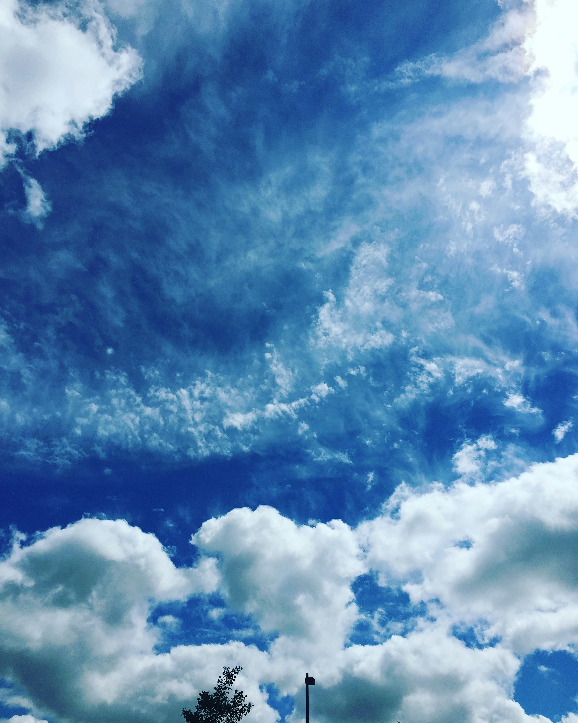 Free Unsplash photo from Elle Buck