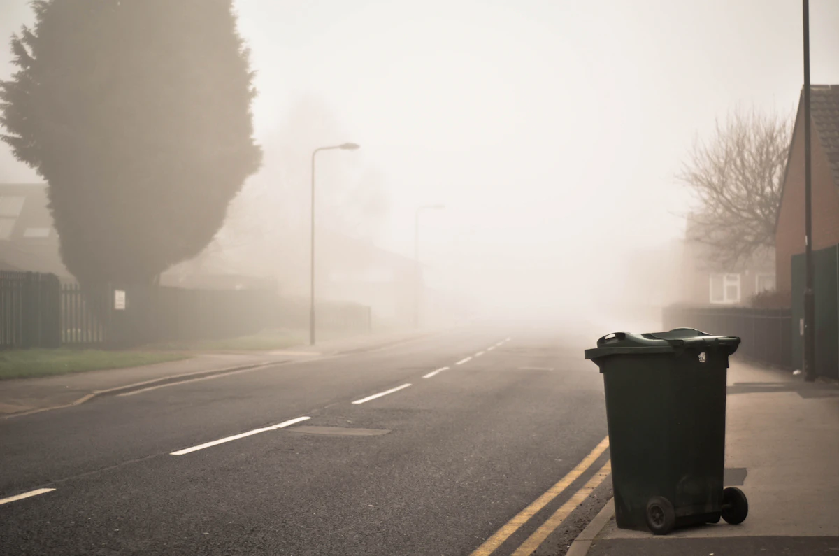 Black wheelie bin sitting at the curb on an asphalt road