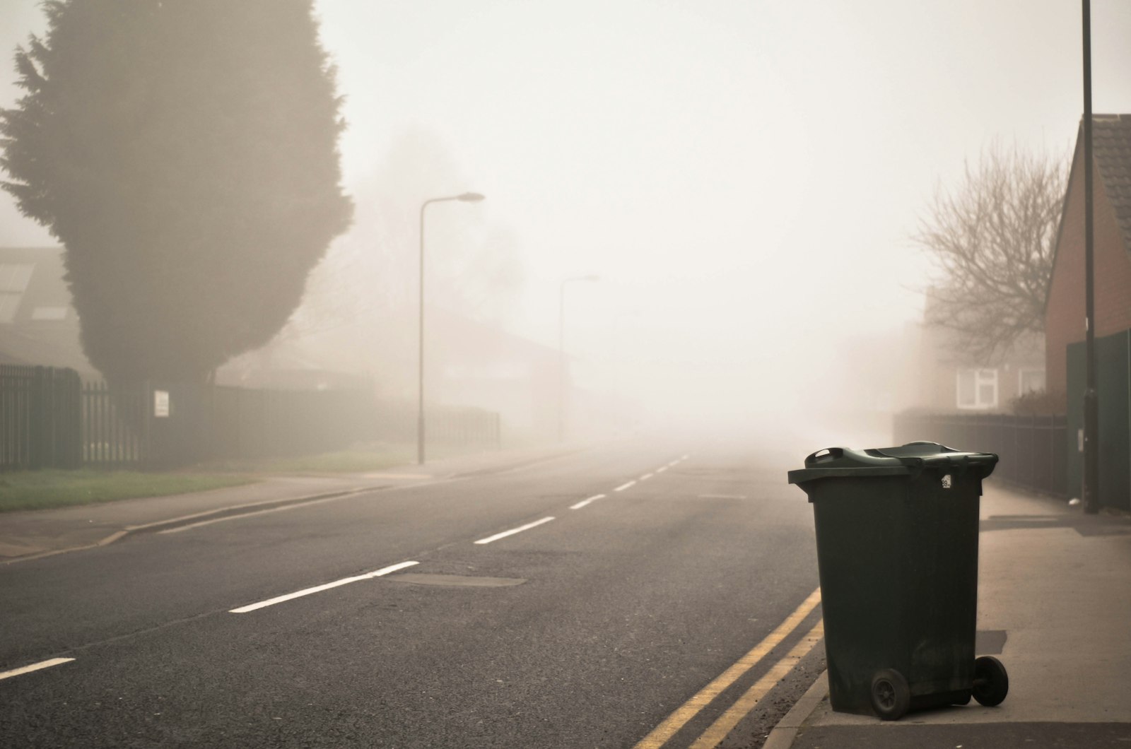 A wheelie bin waiting at the curb