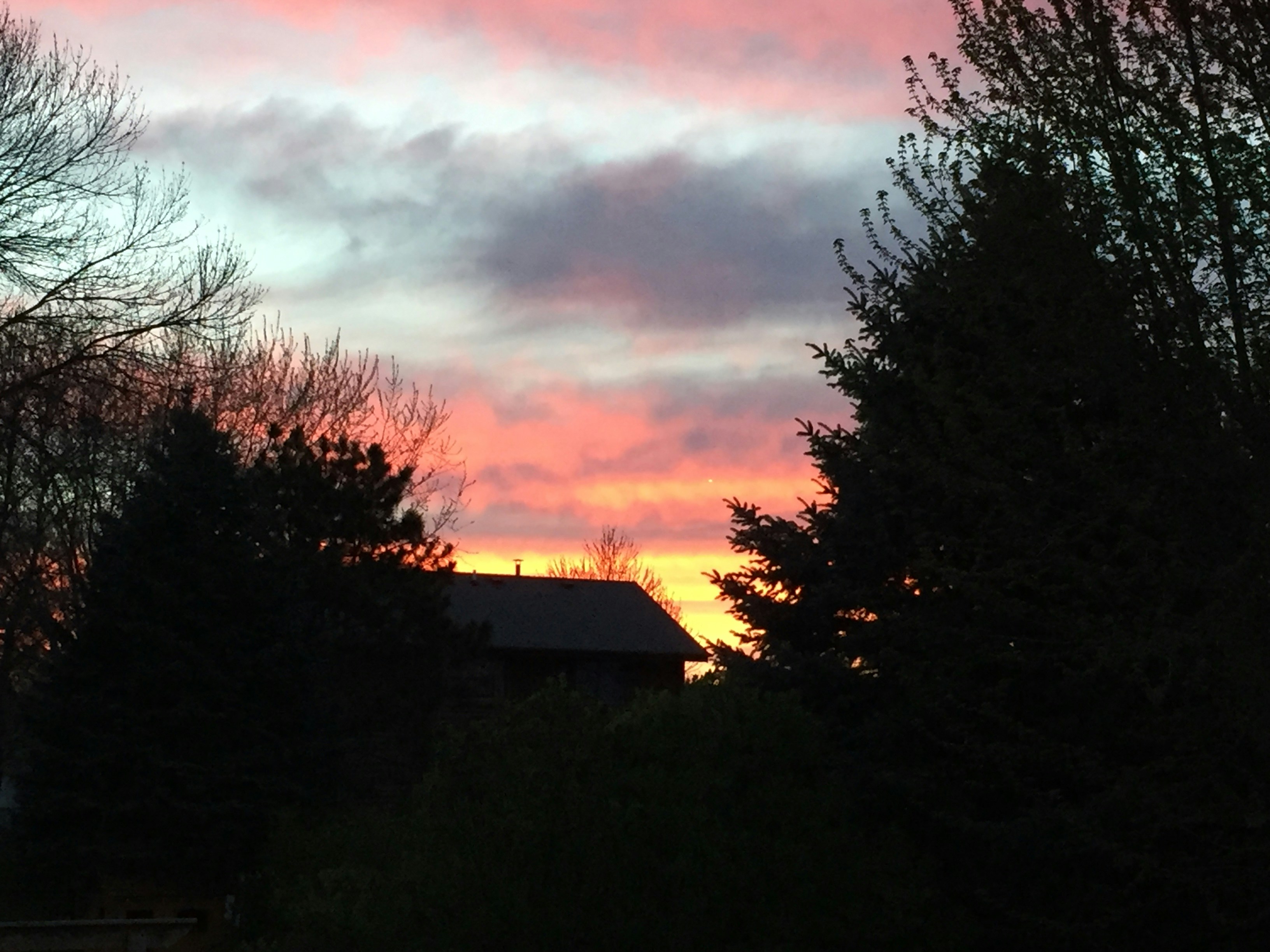 Free Unsplash photo from Elle Buck