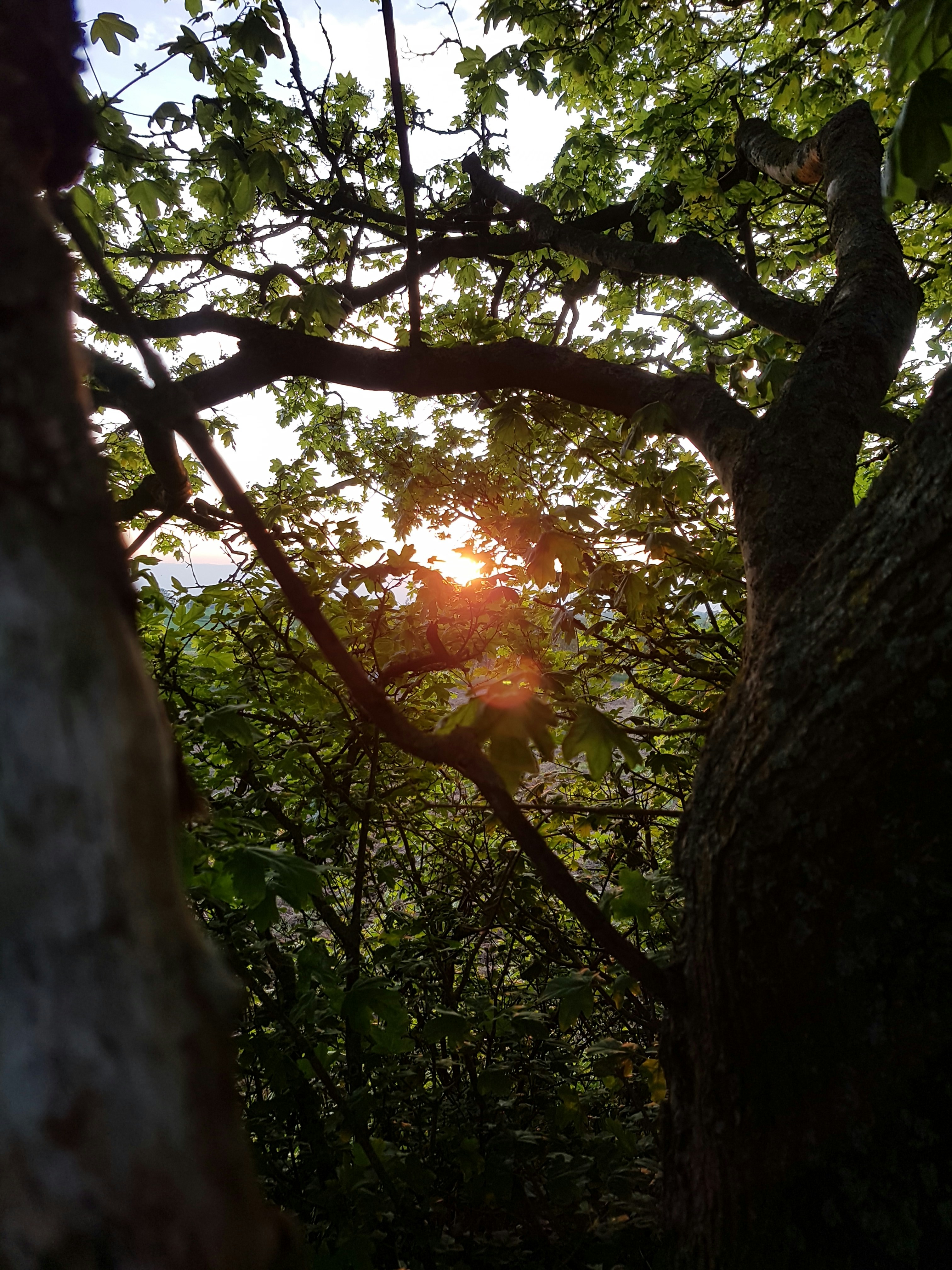 Free Unsplash photo from Casper  Beck