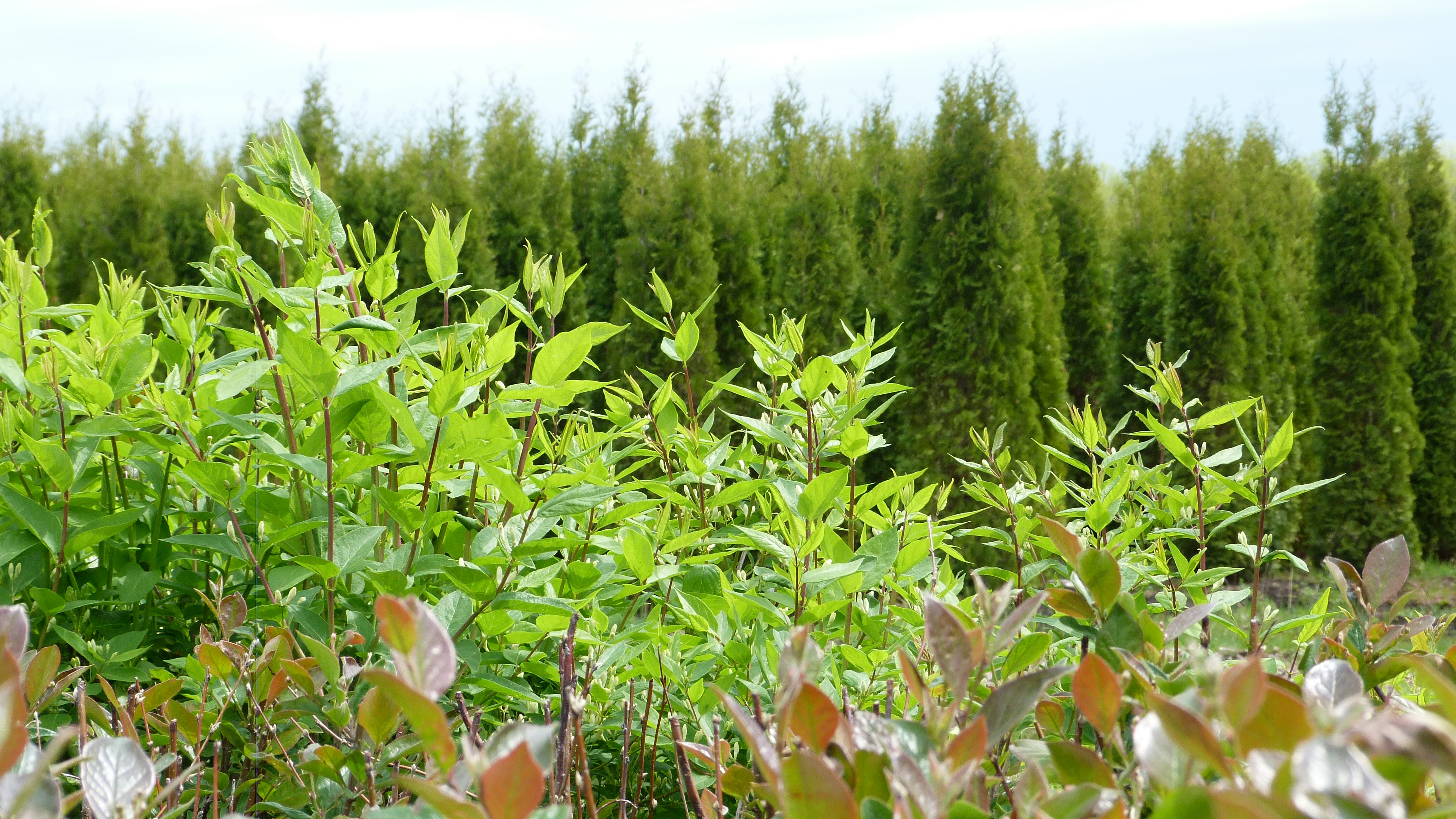 Free Unsplash photo from Olga Kiseleva