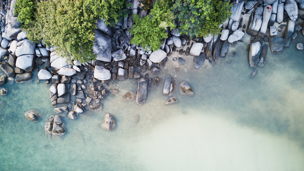 top view of rocky seashore during daytime