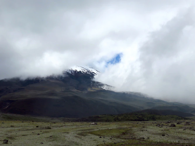 Cotopaxi above green páramo grassland, clouds wrapping the summit