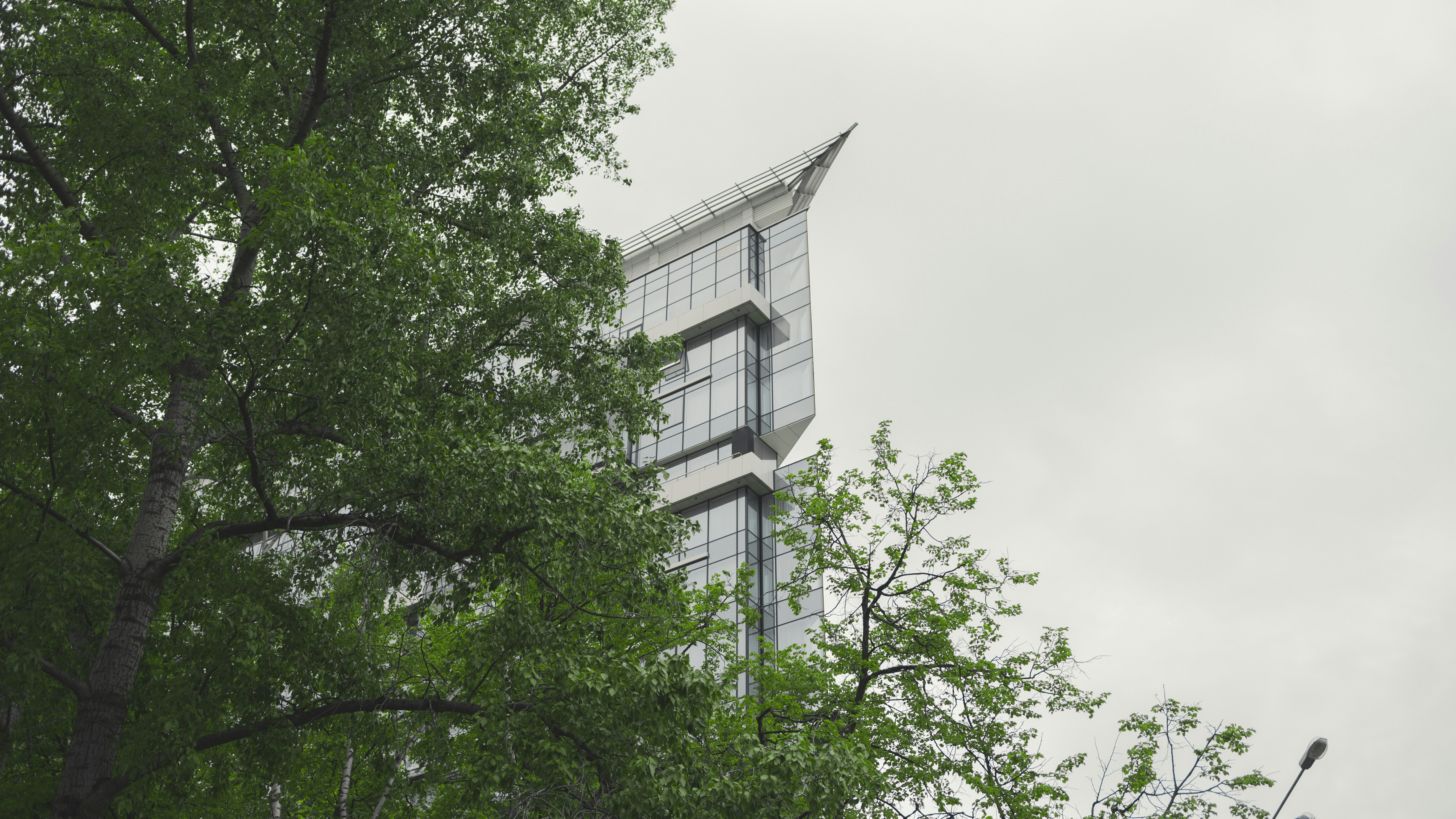 Free Unsplash photo from Денис Евстратов