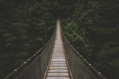 hanging bridge lined with trees at daytime journey zoom background