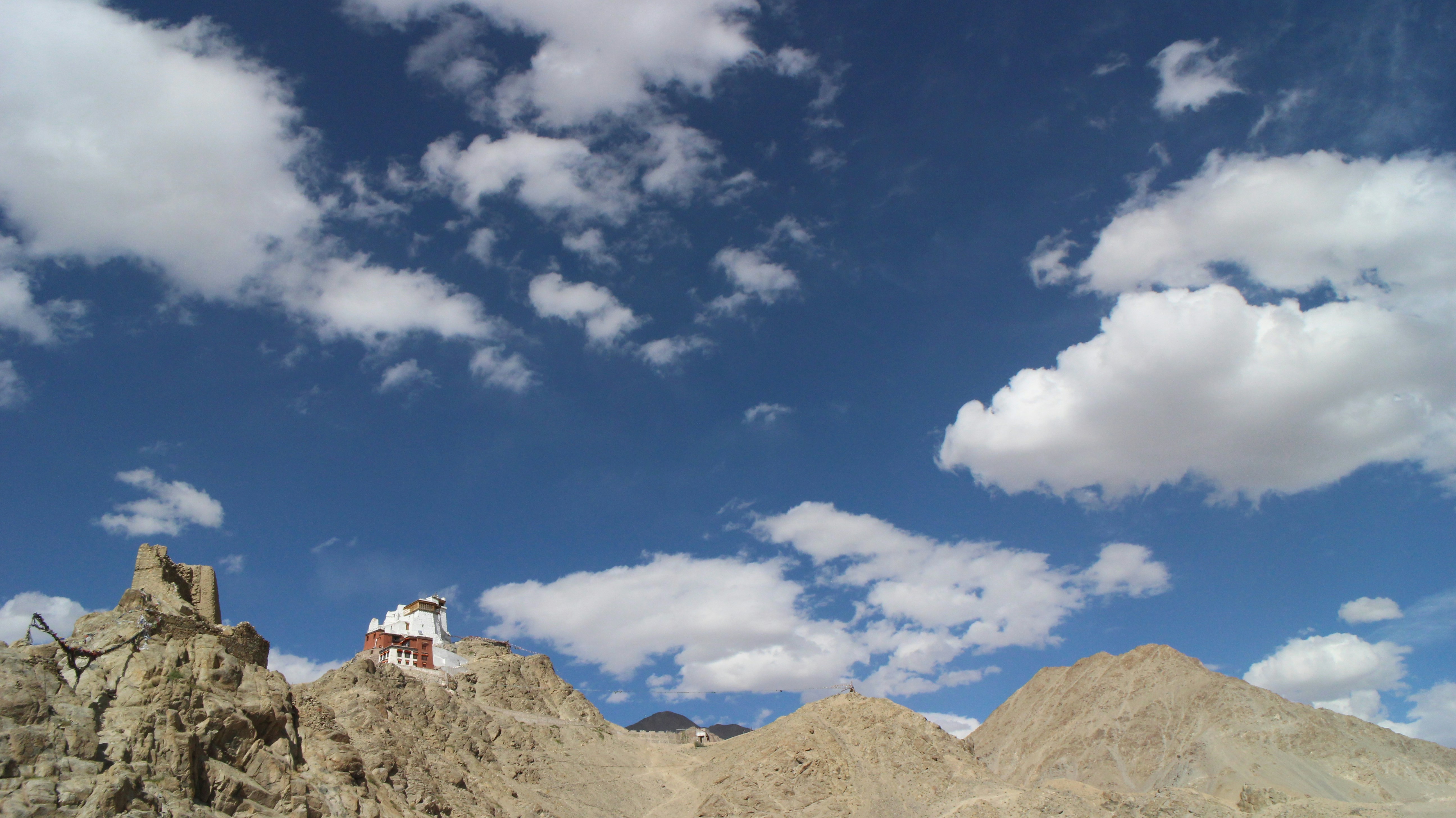 Free Unsplash photo from Daiki Sagiyama