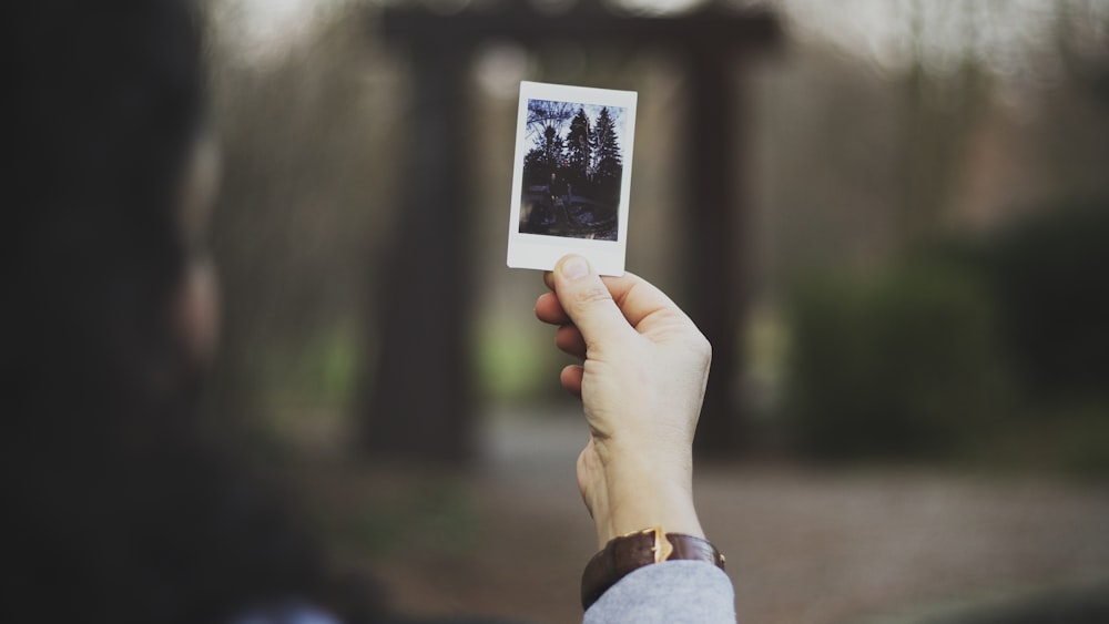 Person, die ein Foto von Bäumen hält