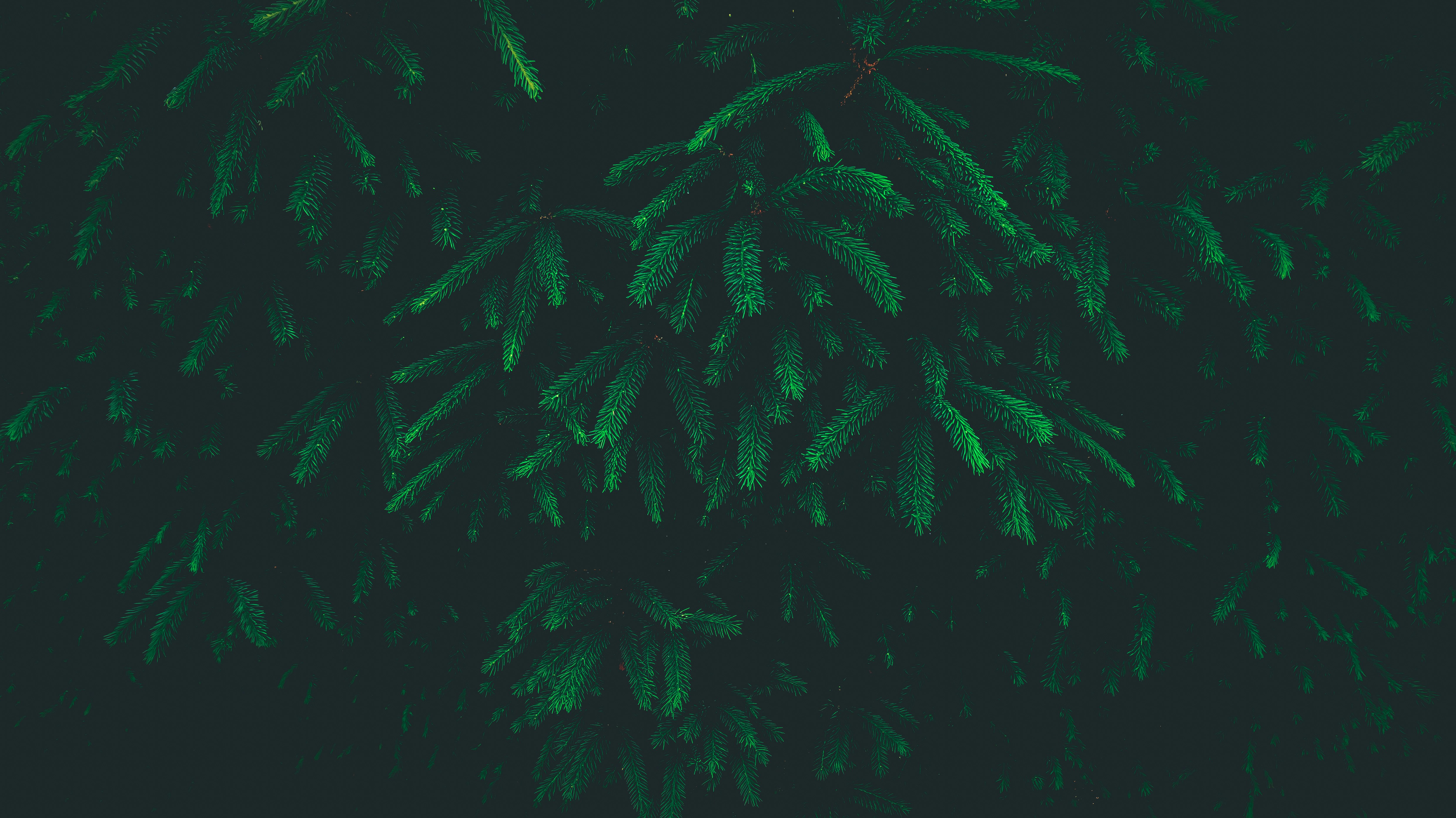 Free Unsplash photo from David von Diemar