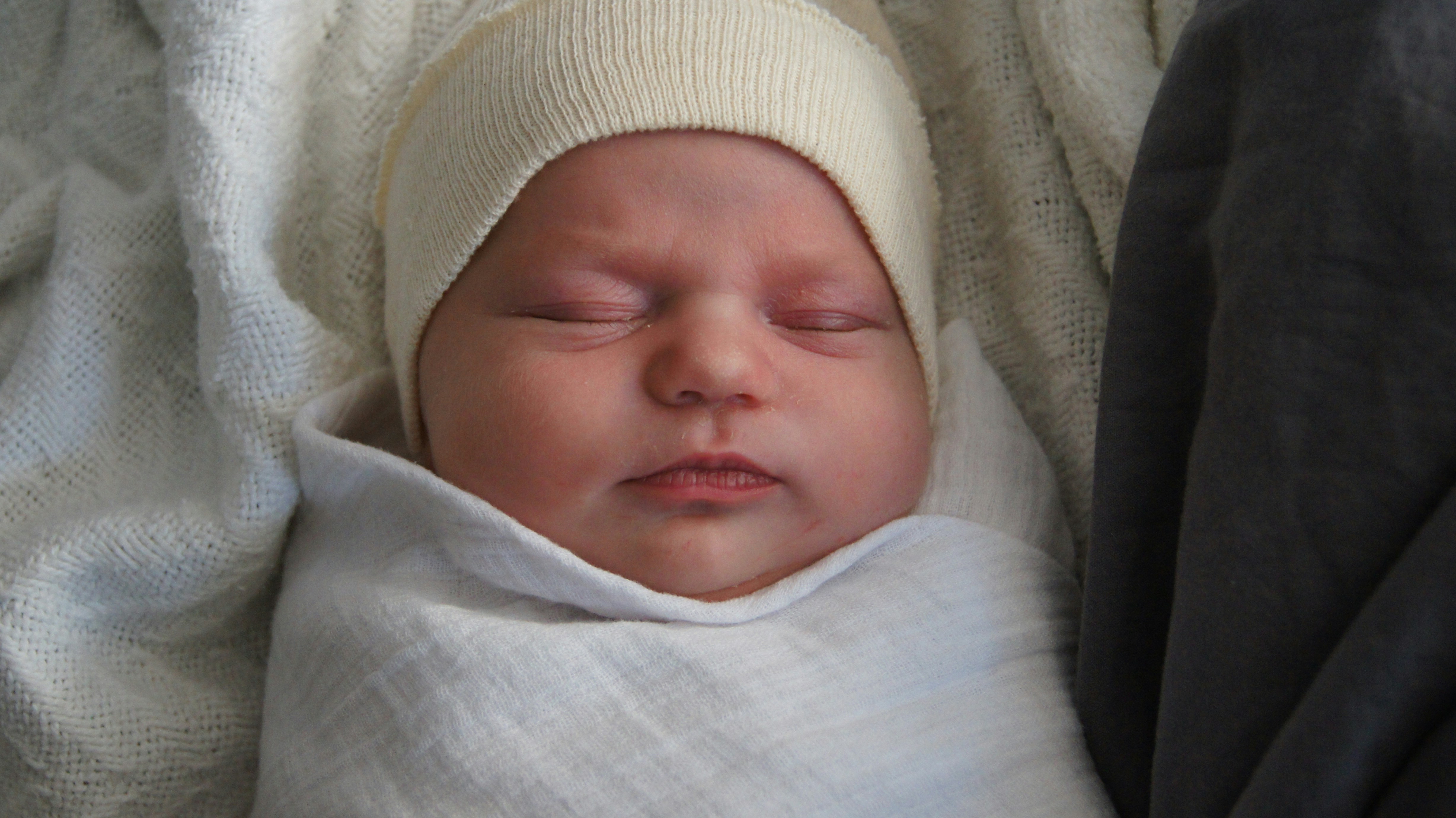 Free Unsplash photo from Jerry condon