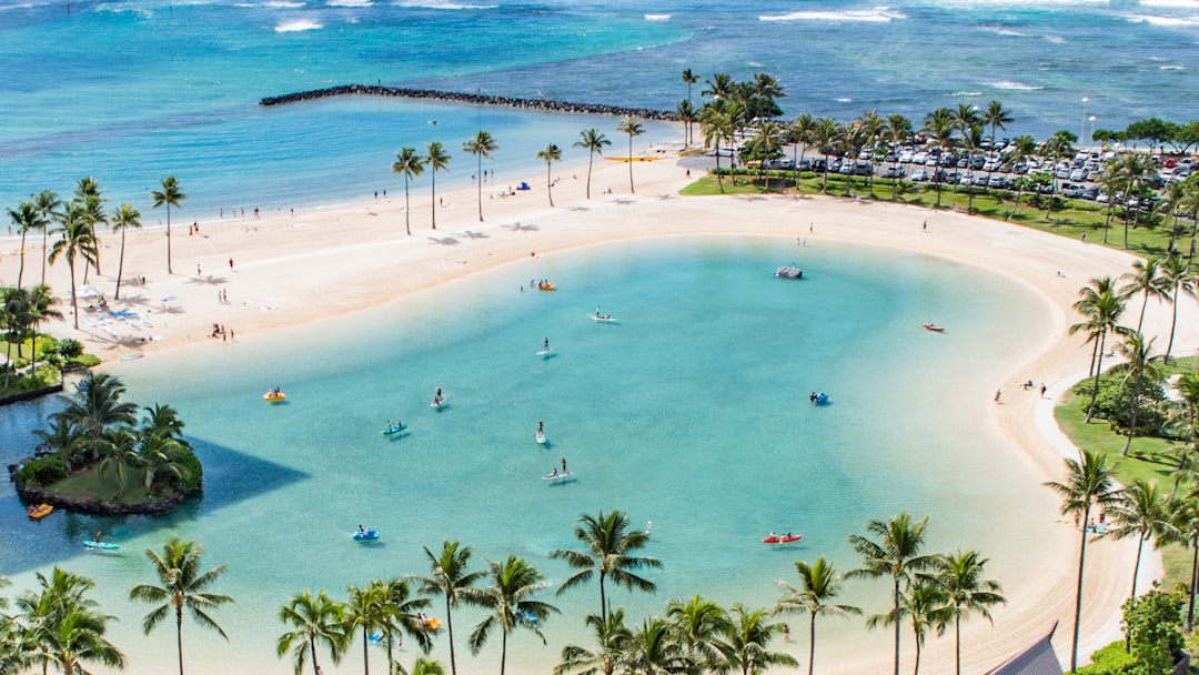 aerial photo people in beach at daytime, Paradise bay