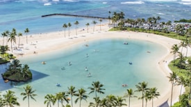 A tranquil beach scene featuring a serene lagoon surrounded by sandy shores. Several people are engaged in activities such as kayaking and paddleboarding on the calm water. Palm trees border the area, providing a tropical atmosphere. In the background, the ocean stretches to the horizon, with gentle waves visible. There is a small island with lush greenery in the lagoon, and a line of parked cars signifies a busy area nearby.