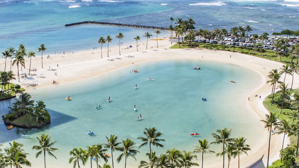 aerial photo people in beach at daytime