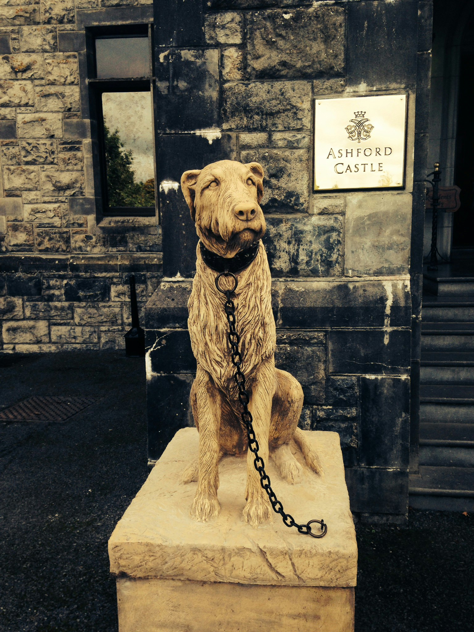 Free Unsplash photo from Beau Gailey