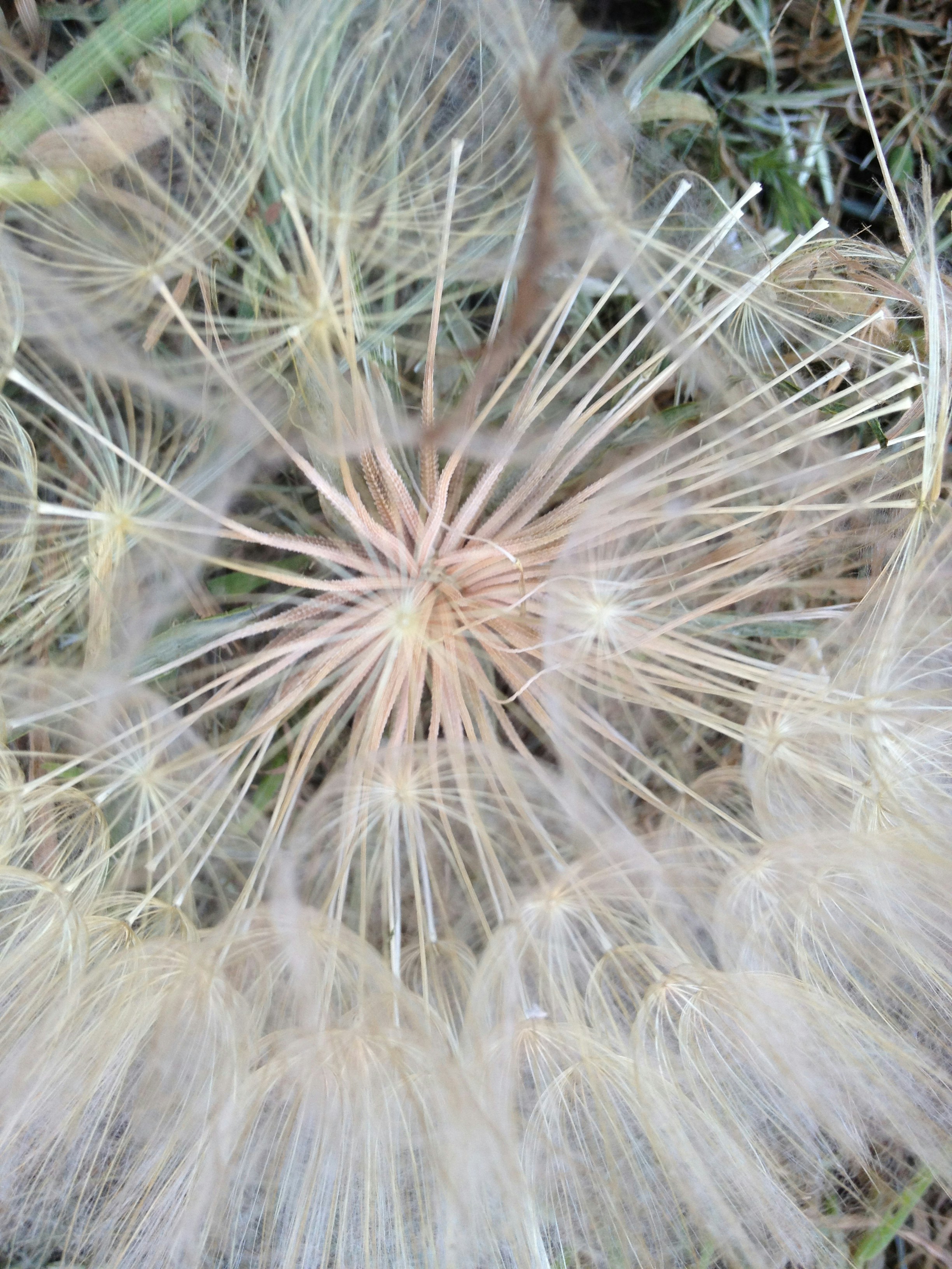 Free Unsplash photo from Beau Gailey