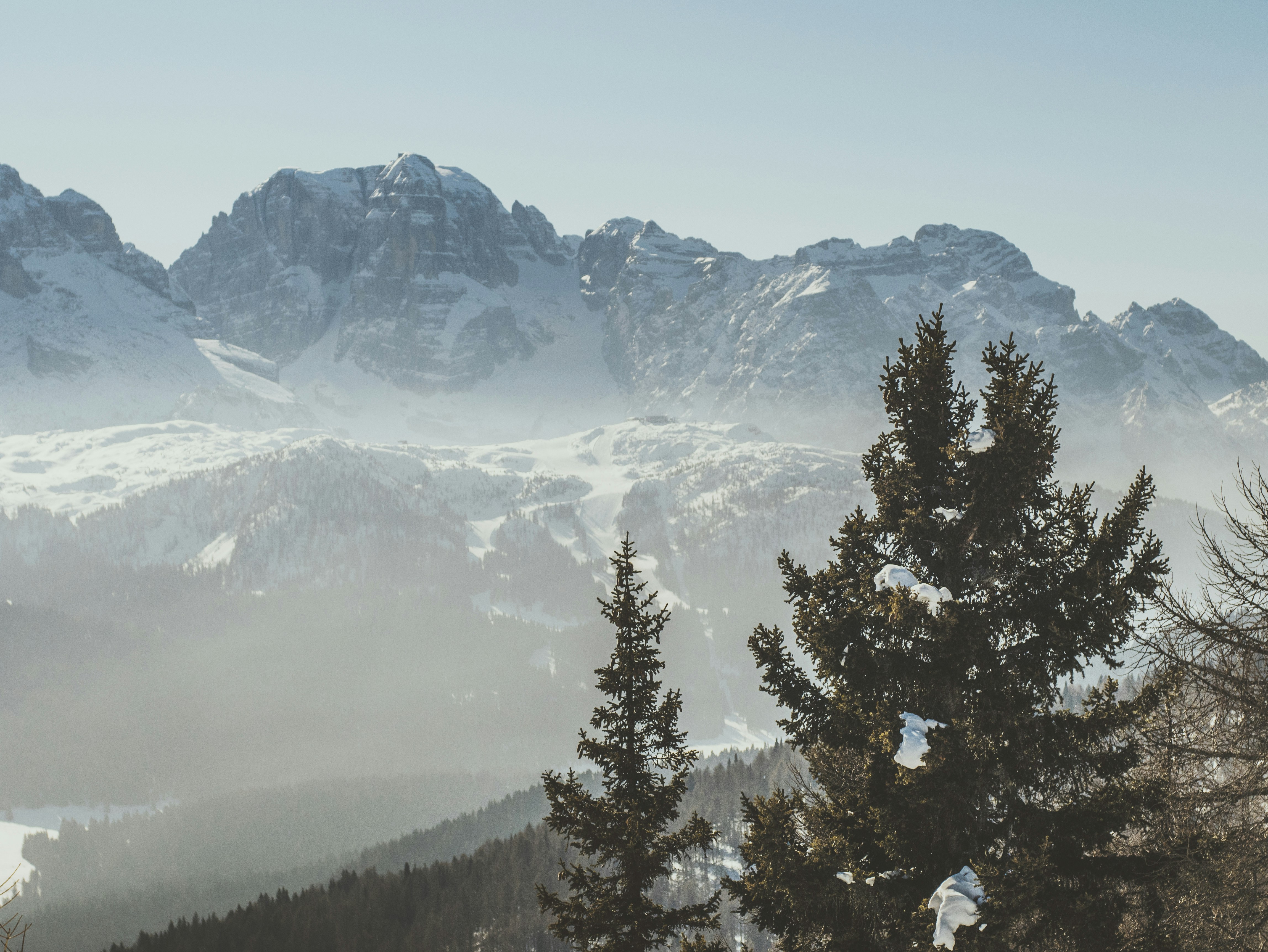 Free Unsplash photo from Mack Wanders