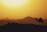 A serene sunset over the Sahara dunes with a lone camel silhouette.