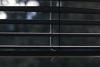 Horizontal window blinds with thin cords hanging down in the center. Behind the blinds, a blurry, green-lit background can be seen, suggesting it's daylight outside.