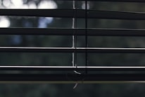 Horizontal window blinds with thin cords hanging down in the center. Behind the blinds, a blurry, green-lit background can be seen, suggesting it's daylight outside.