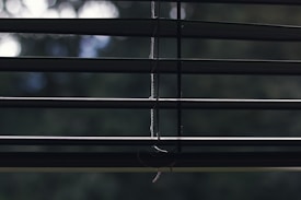 Horizontal window blinds with thin cords hanging down in the center. Behind the blinds, a blurry, green-lit background can be seen, suggesting it's daylight outside.