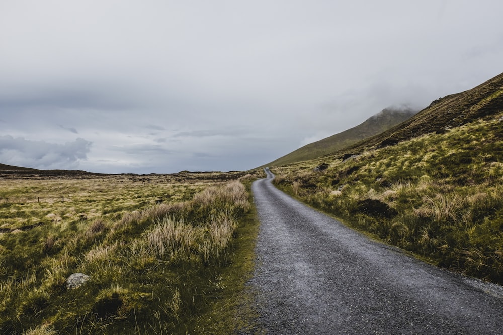 asphalt road between grass fields