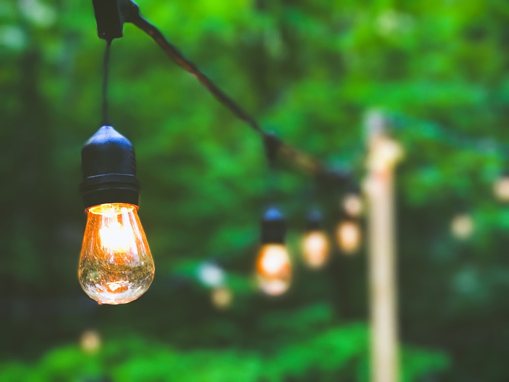 Guirlandes lumineuses jaunes