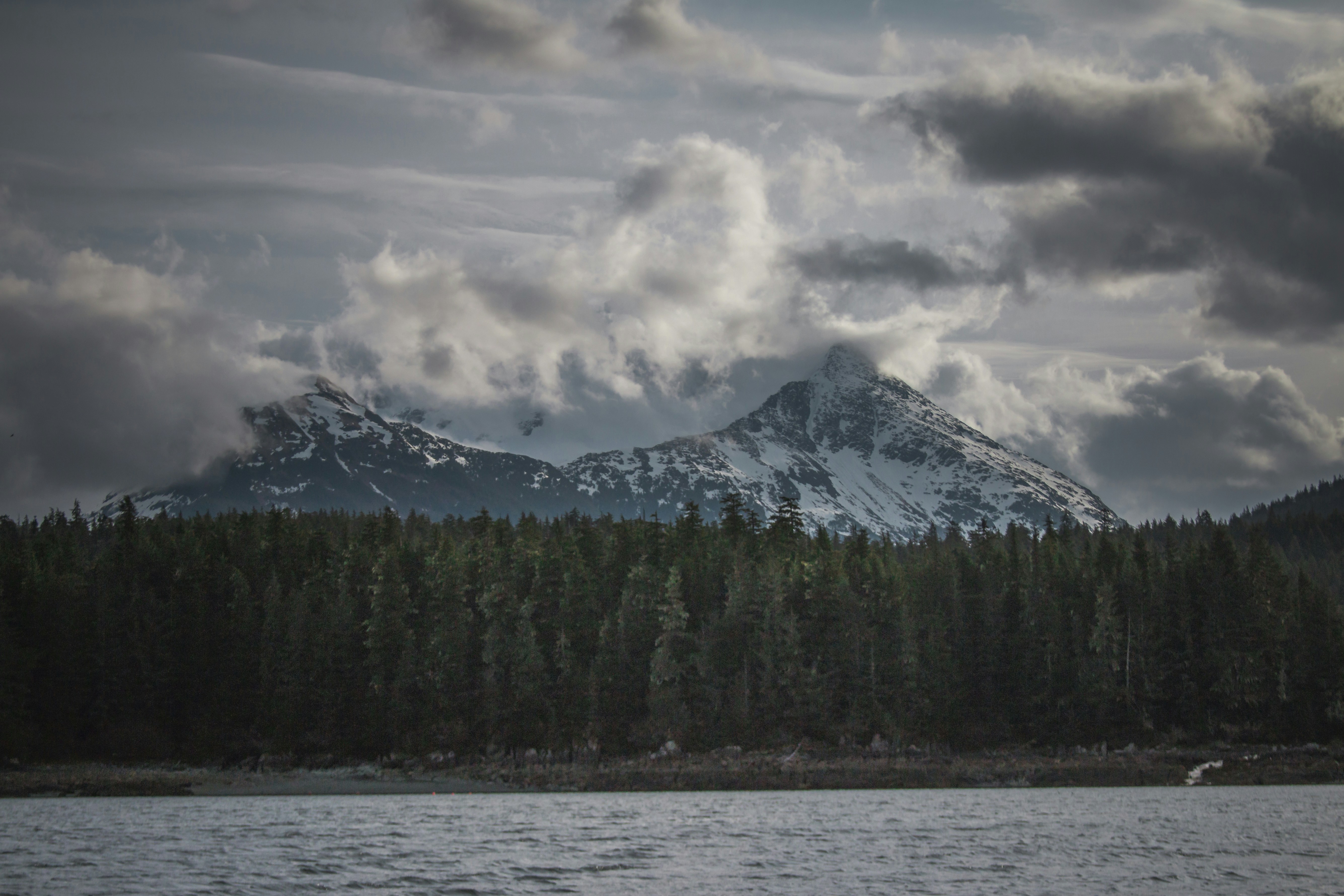 Free Unsplash photo from Steve Halama