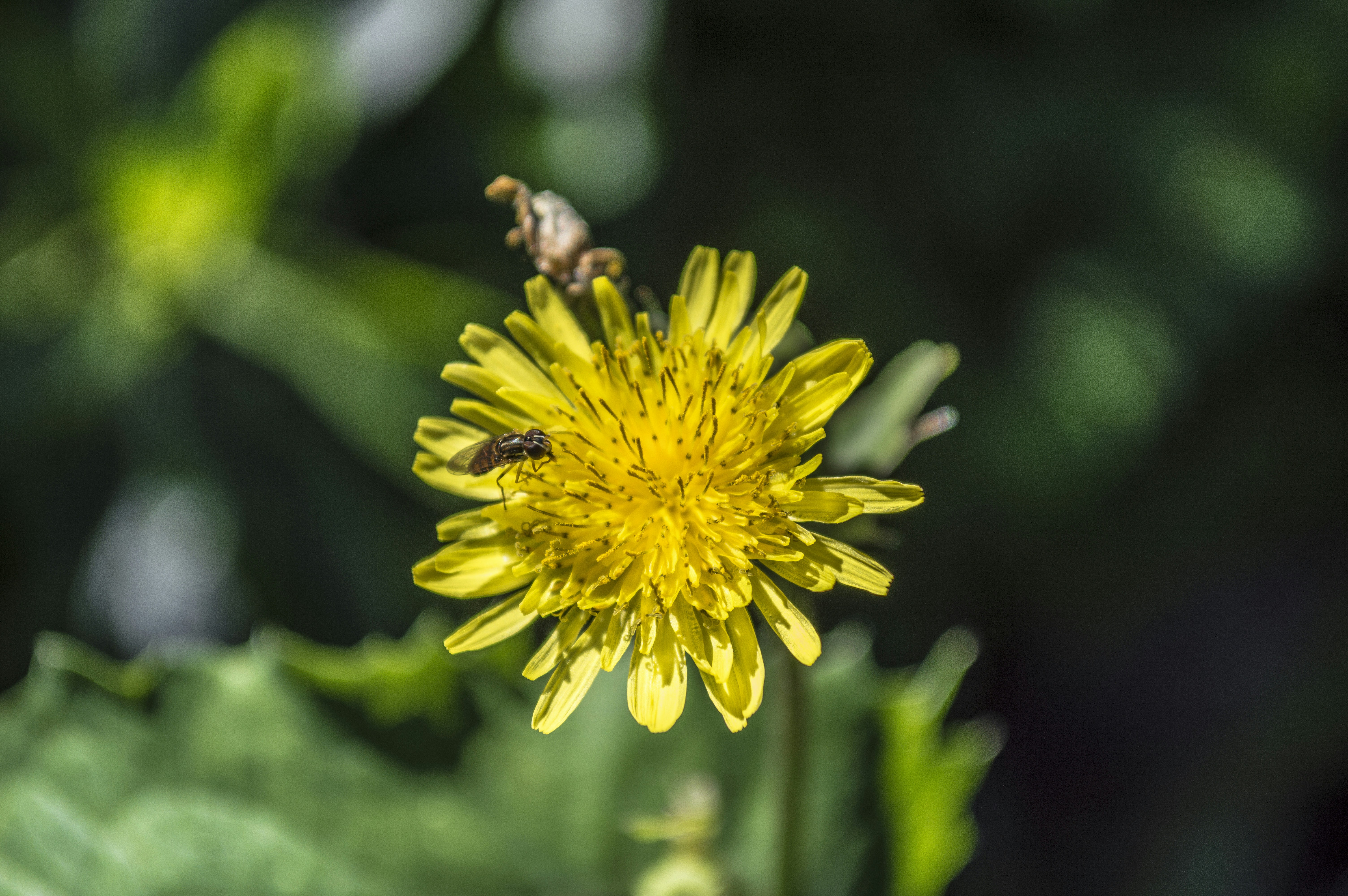 Free Unsplash photo from Ariel Schmunck