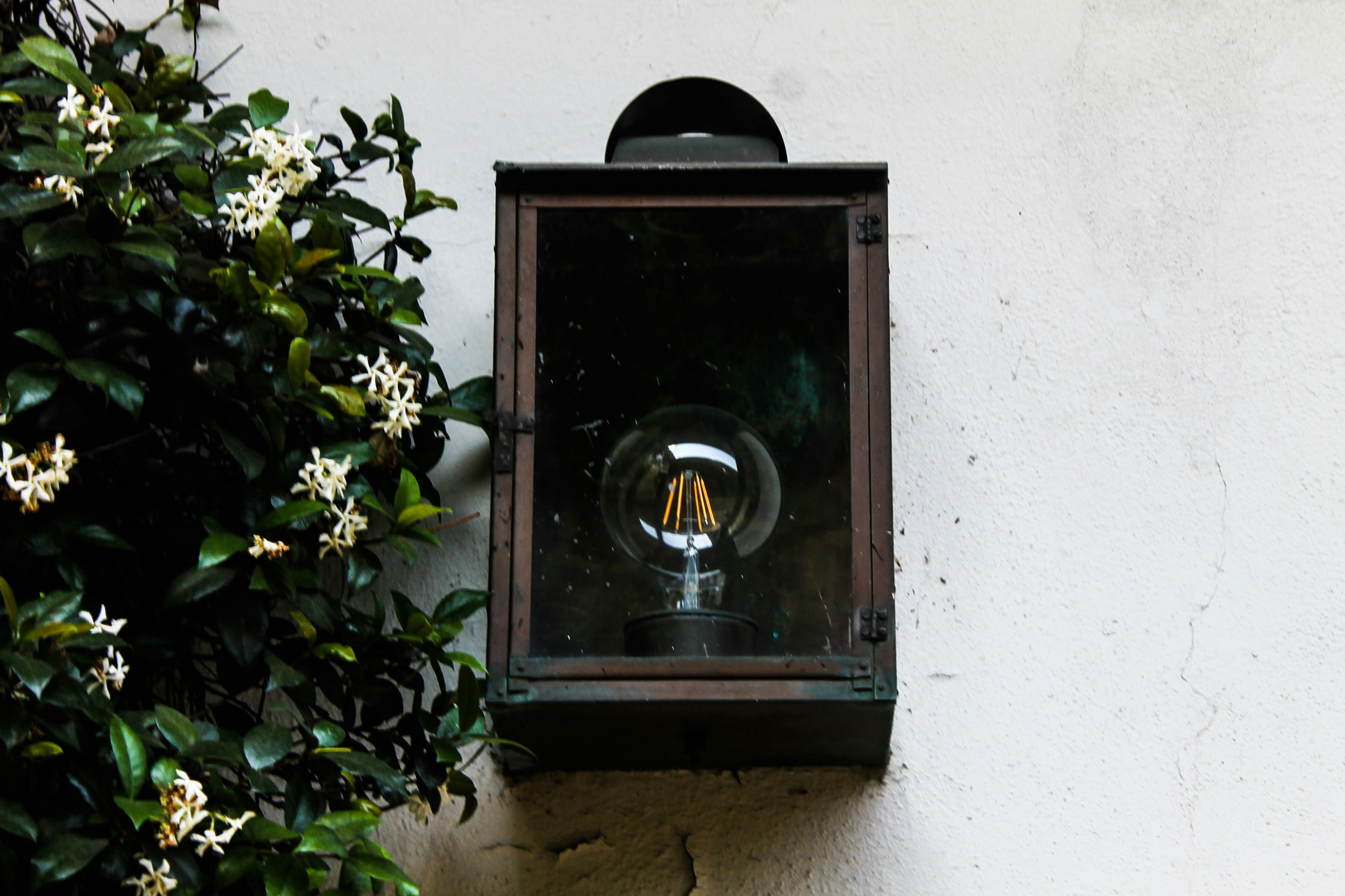 Free Unsplash photo from Meg Kettelkamp