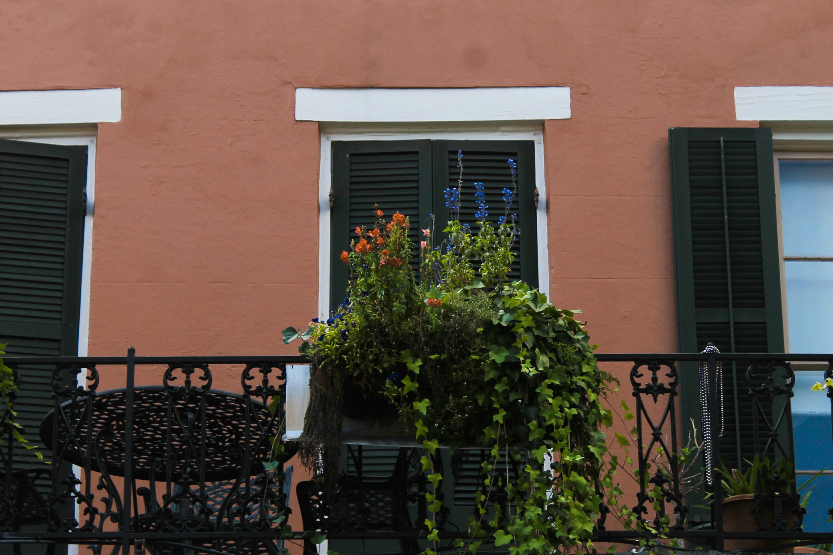 Free Unsplash photo from Meg Kettelkamp