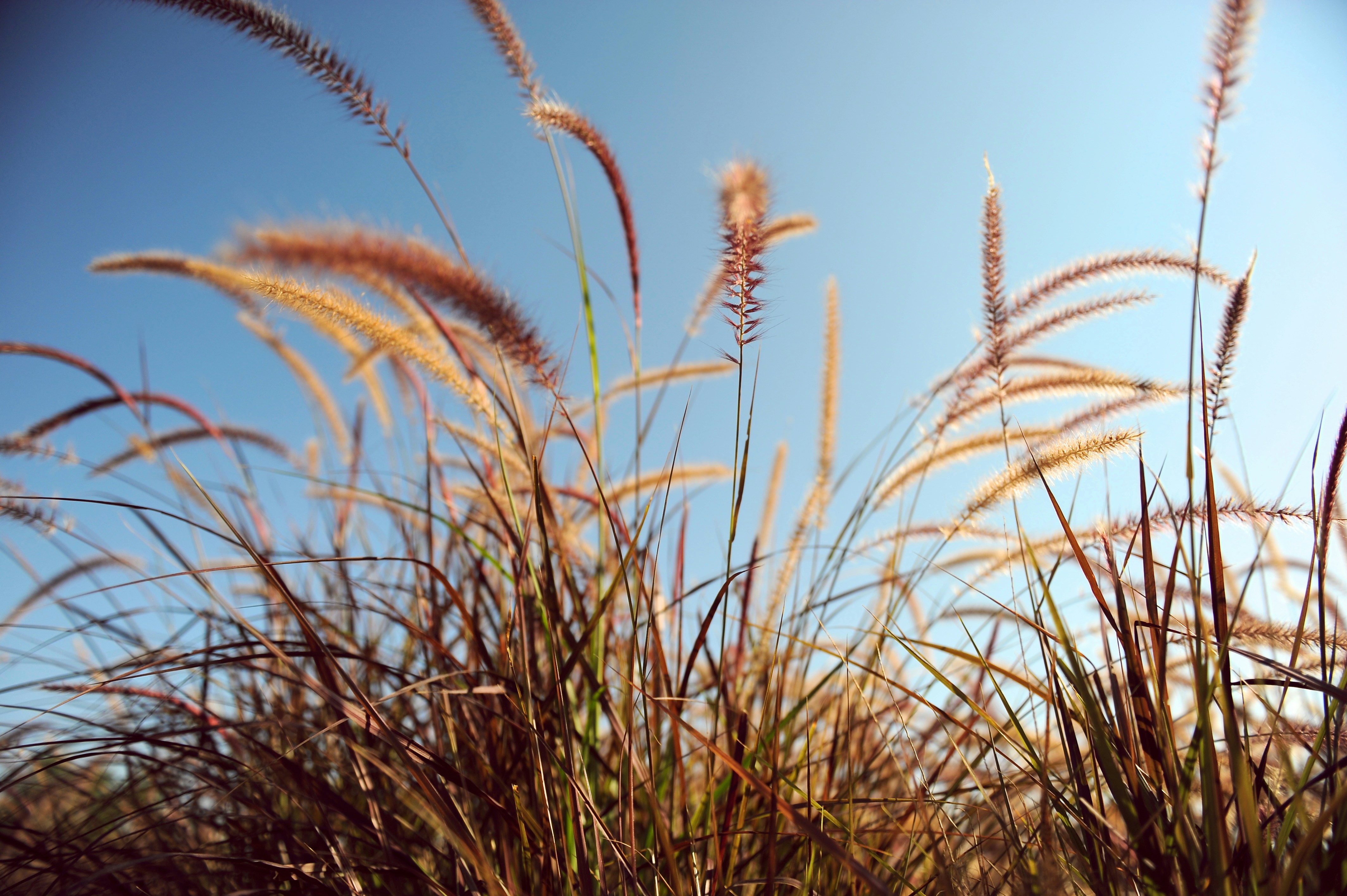 Free Unsplash photo from Ashkan Shafaati